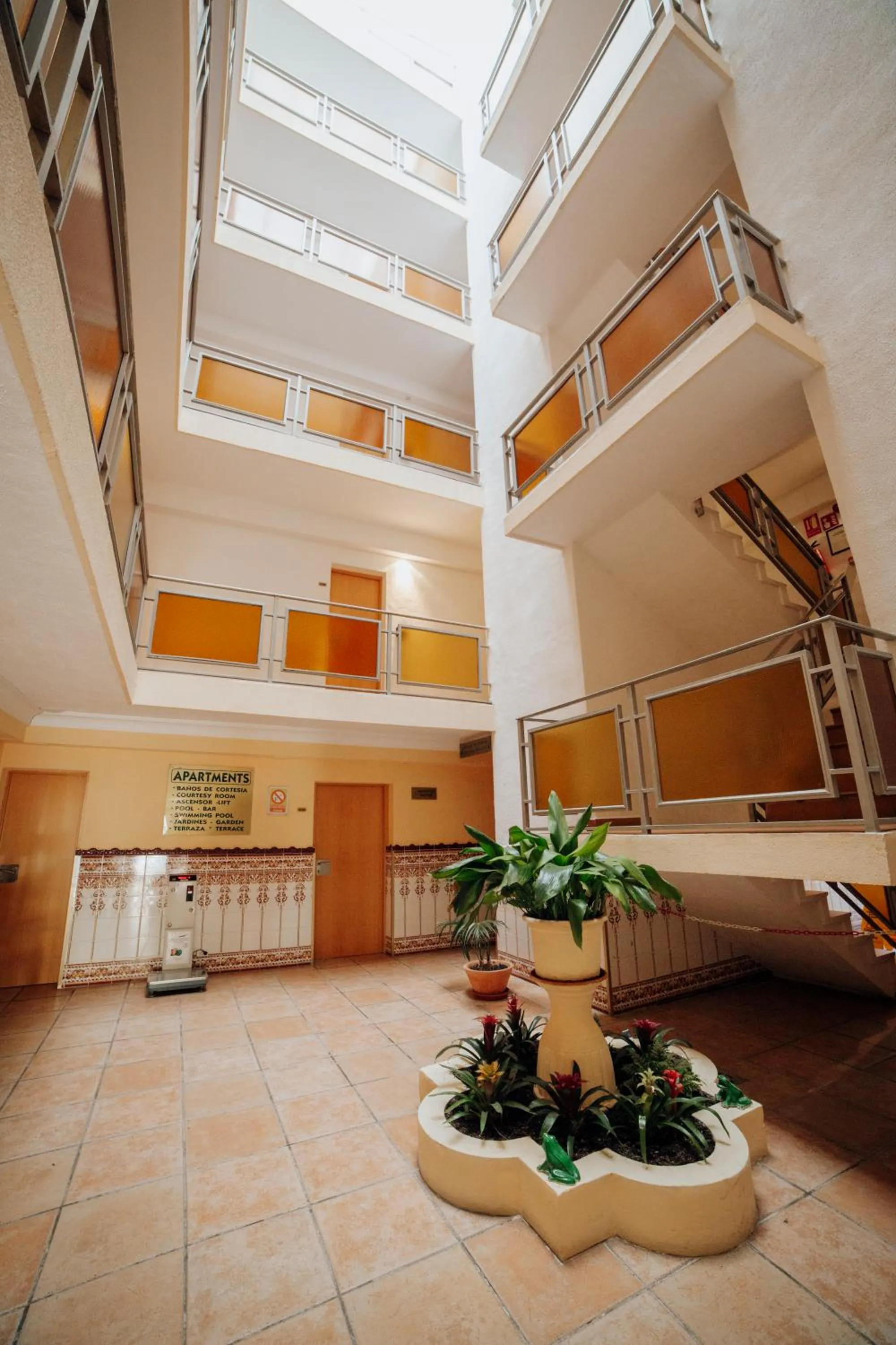 Area and facilities in Apartamentos Palm Court