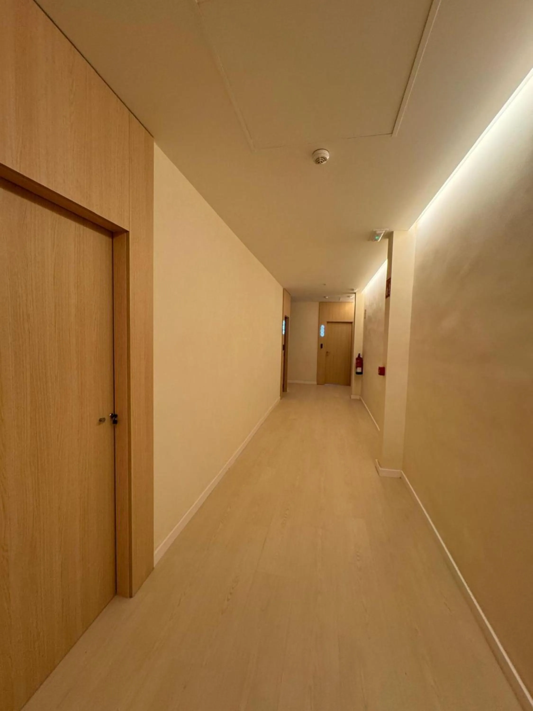 Property building in El Globo