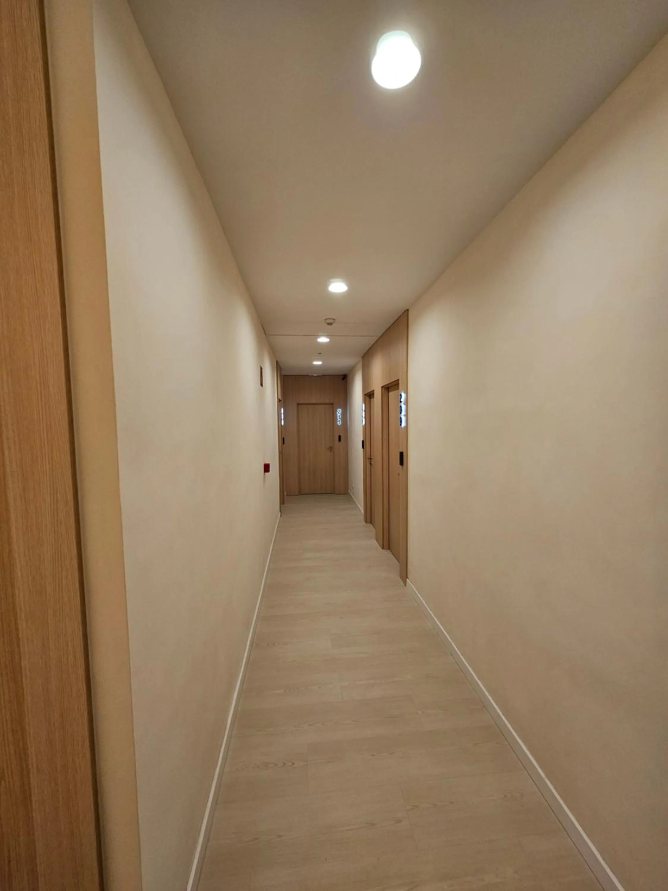 Property building in El Globo