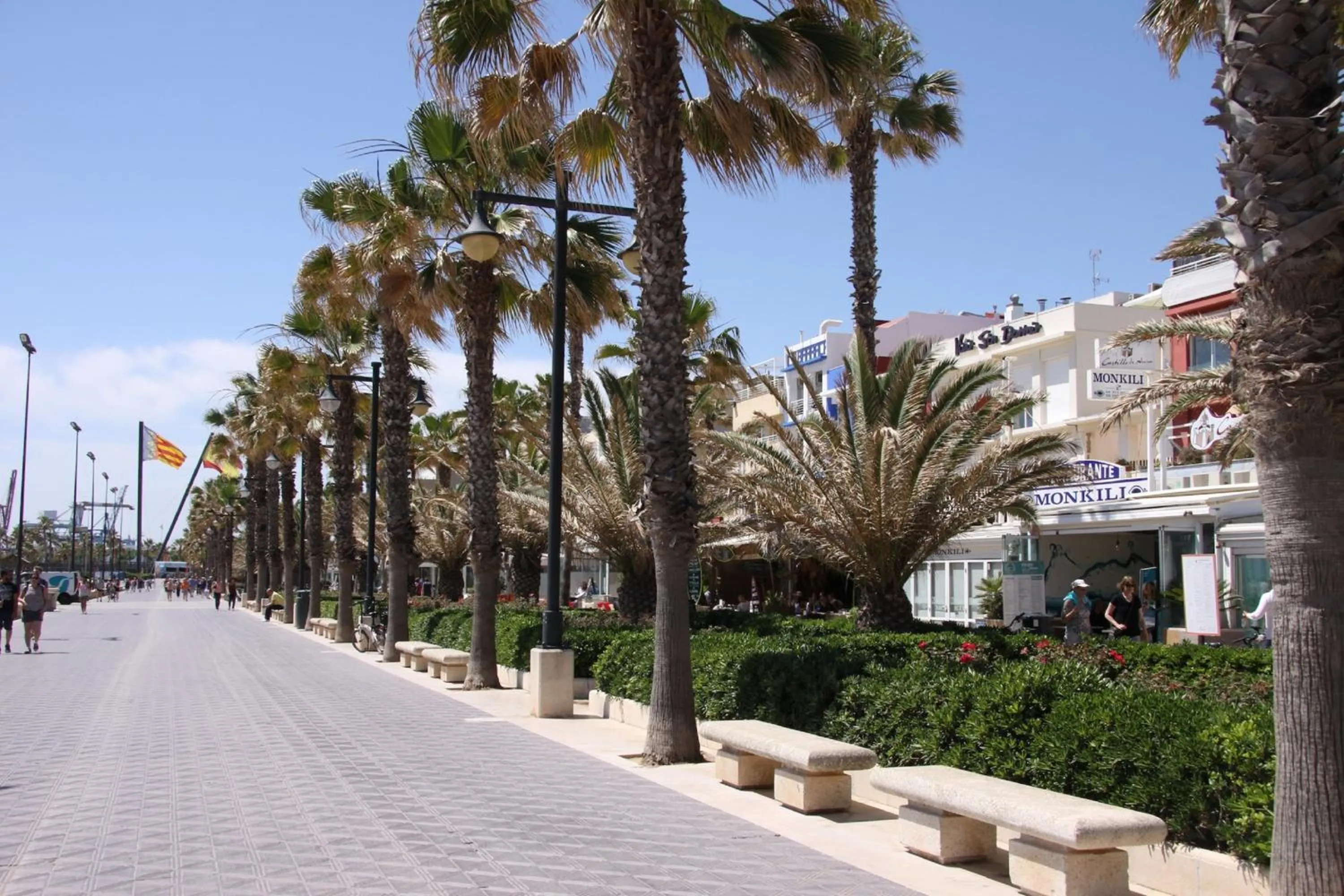 Property building in El Globo