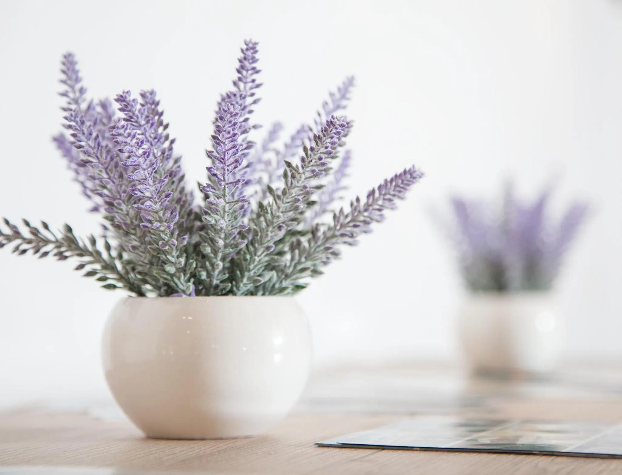 Lobby or reception in Resort Big House Plitvička jezera