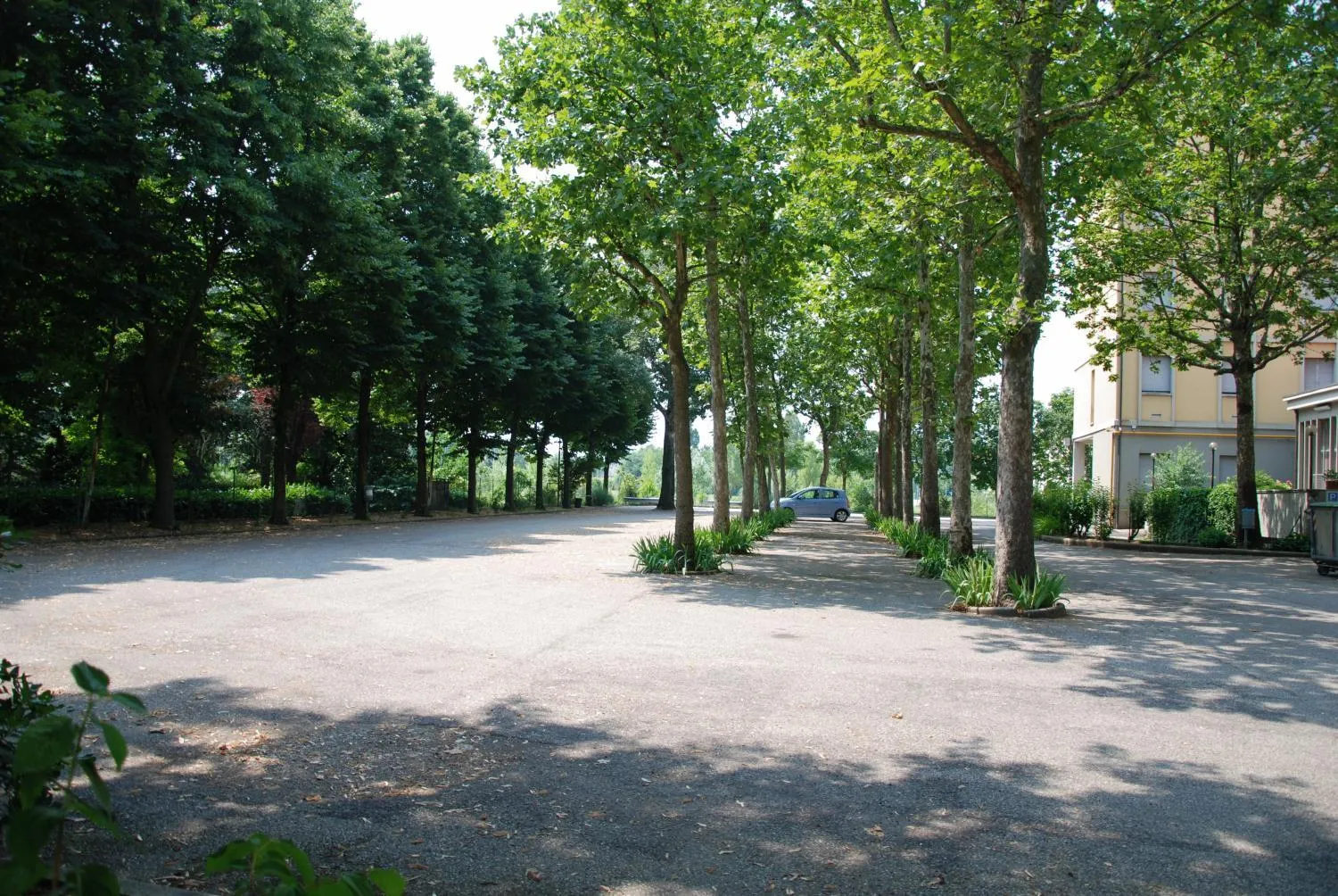 Garden in Hotel Olimpic