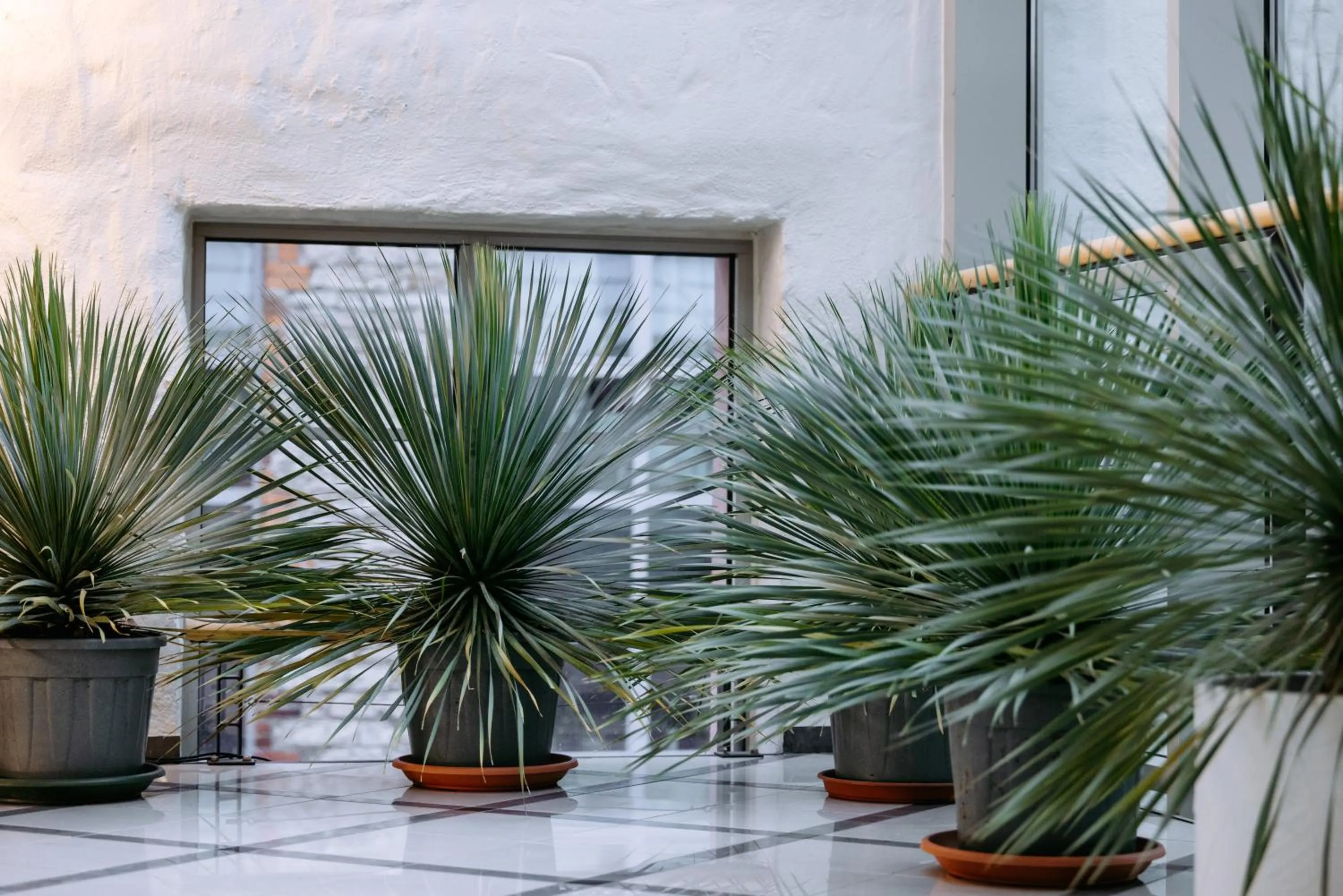 Area and facilities in Hestia Hotel Ilmarine