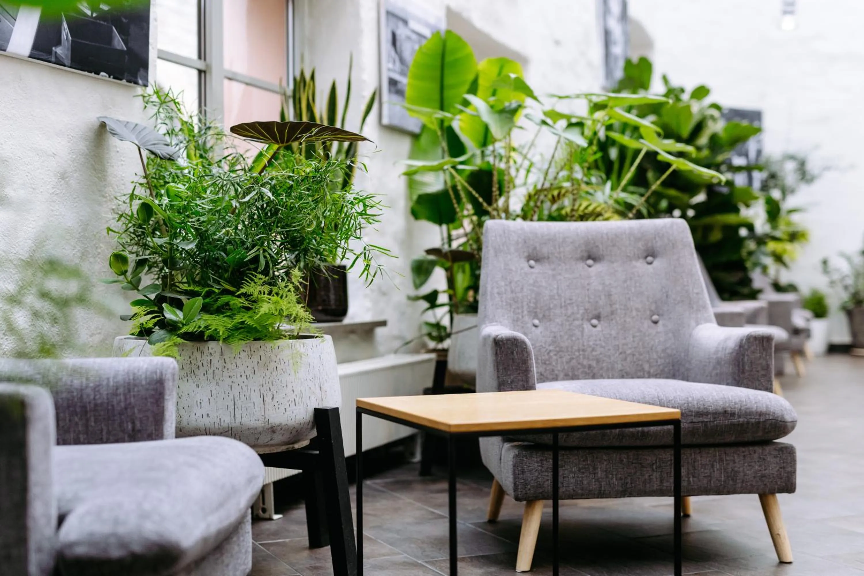 Seating area in Hestia Hotel Ilmarine
