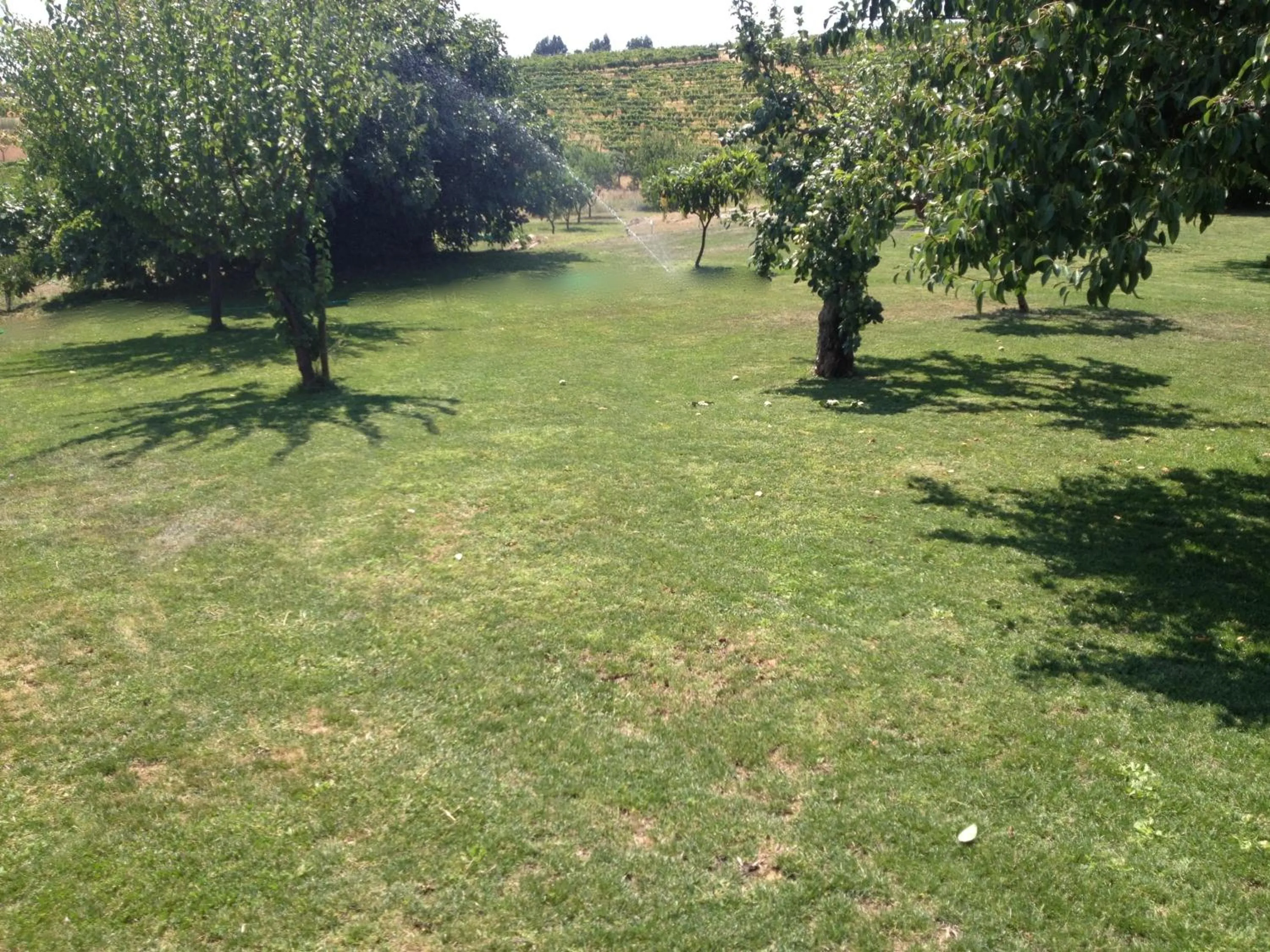 Quinta Da Pereira E Enricas Agro-Turismo