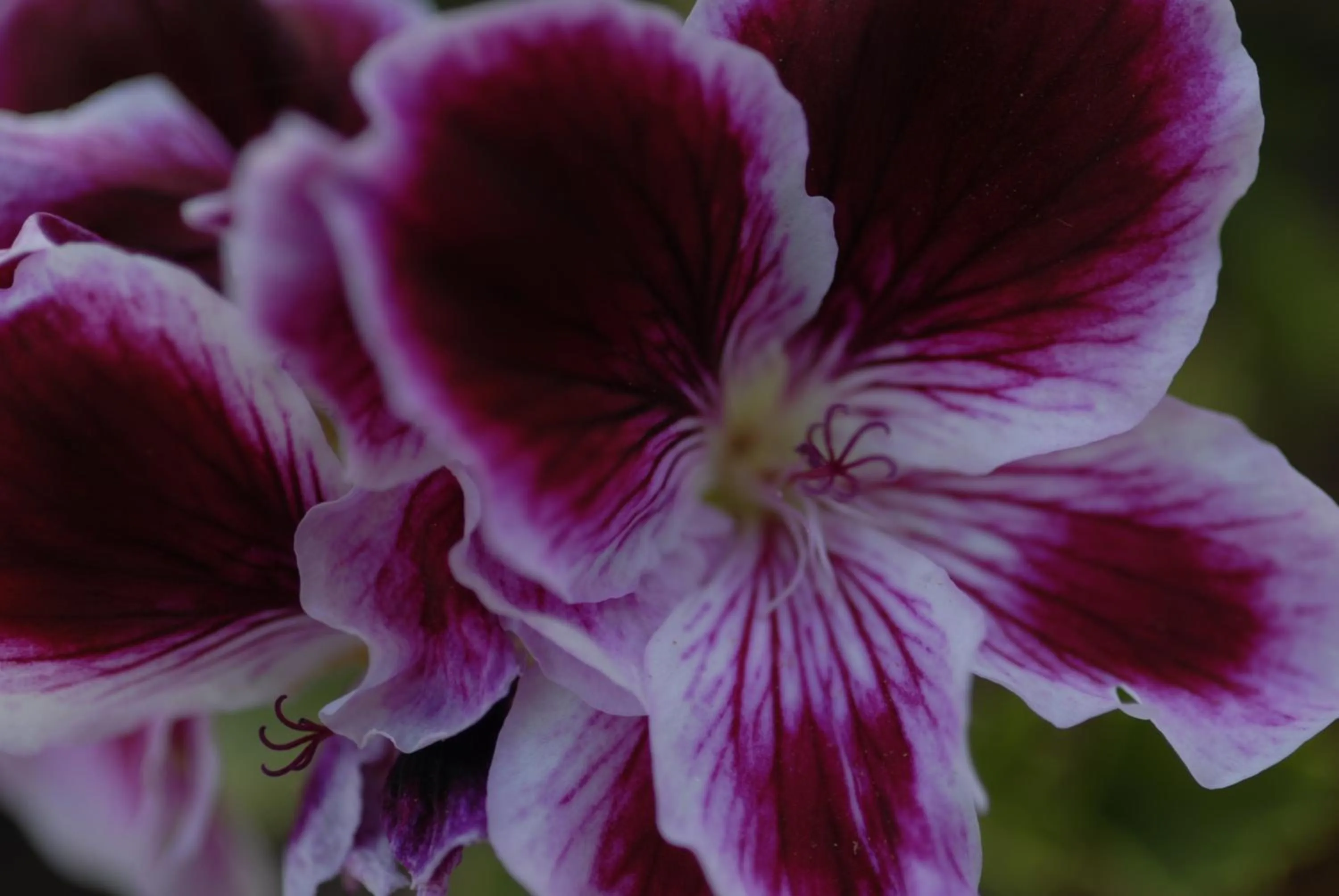 Property building in Margarita Studios