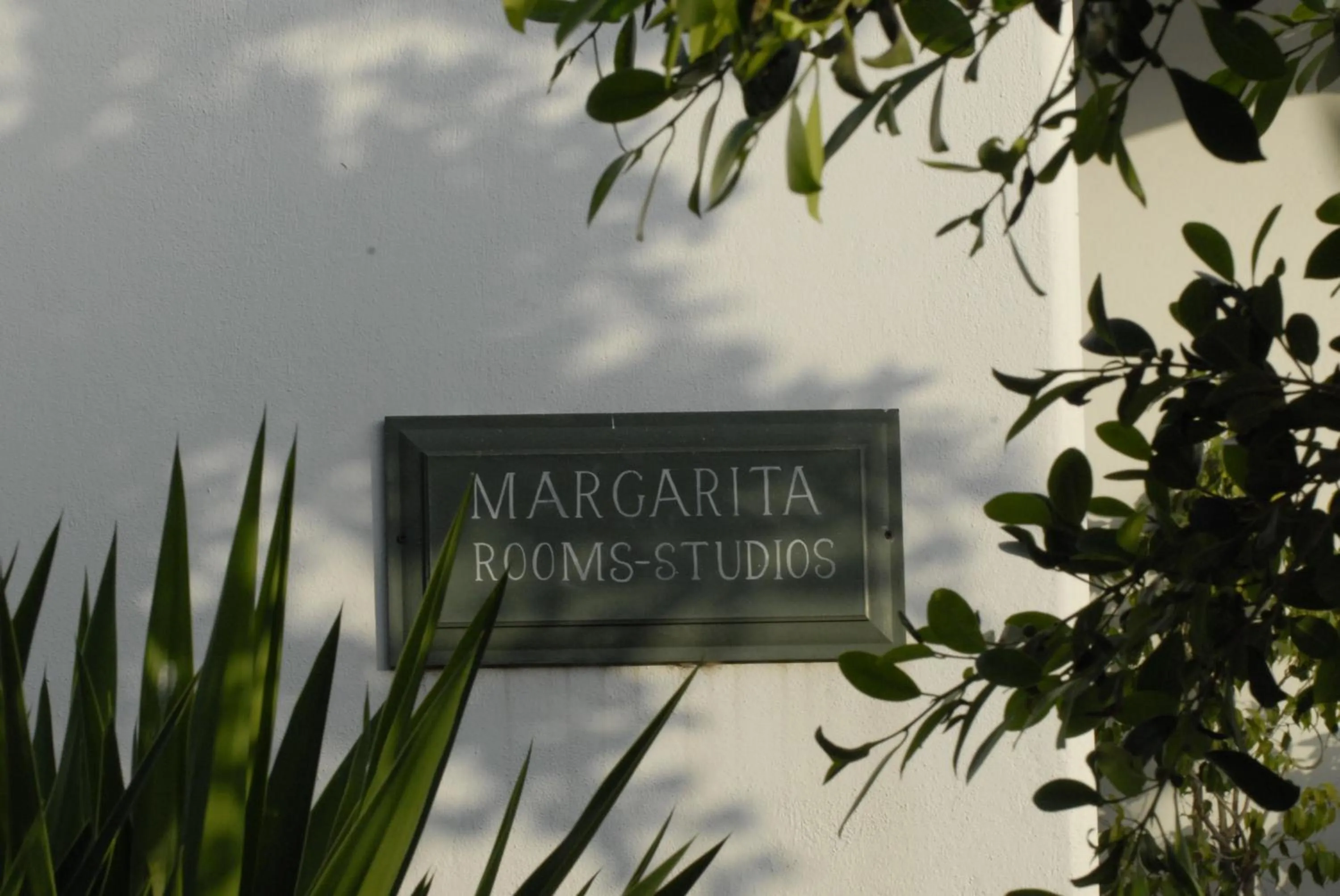 Logo/Certificate/Sign in Margarita Studios