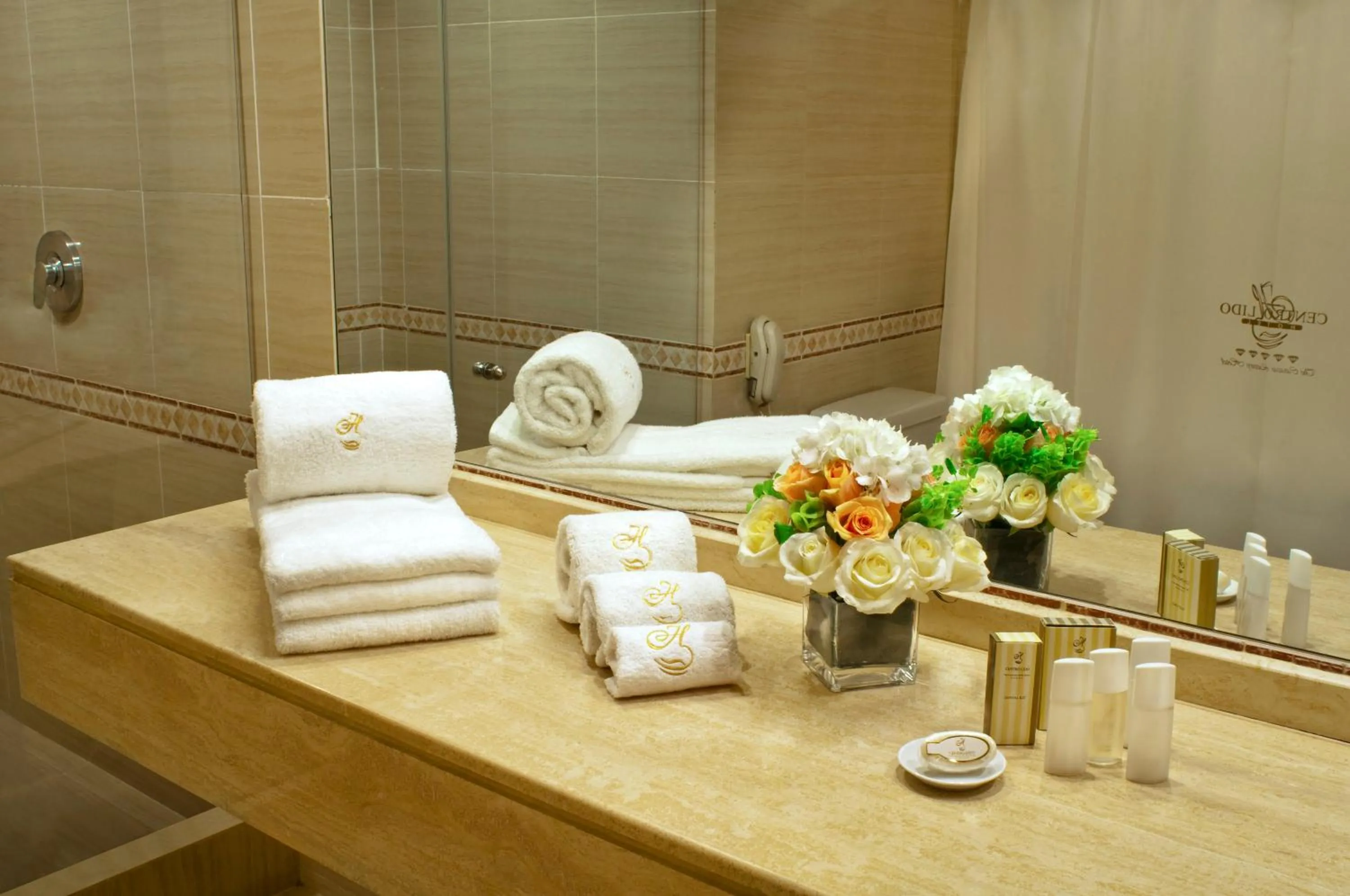 Bathroom in Lidotel Caracas