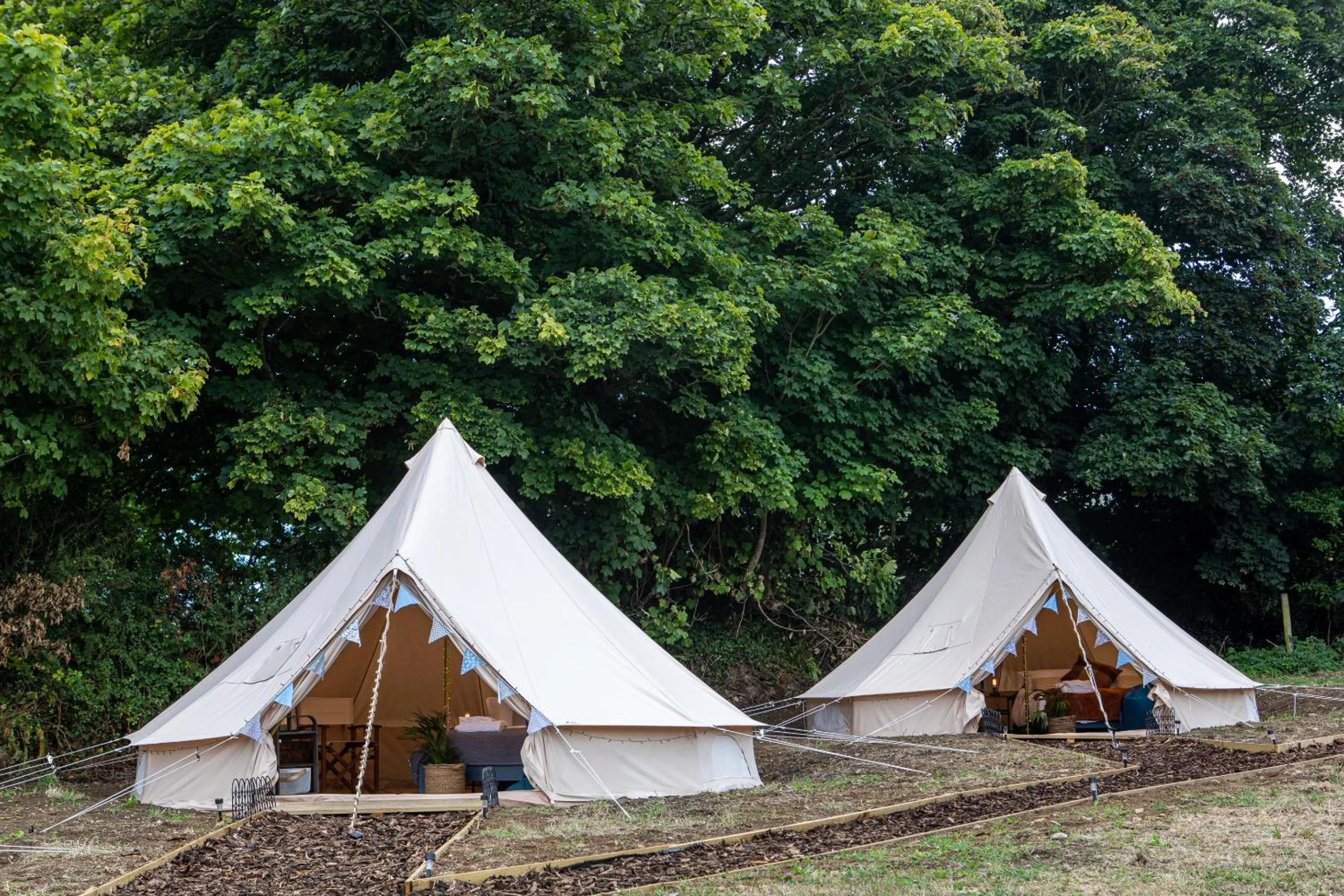 Activities in The Three Tuns