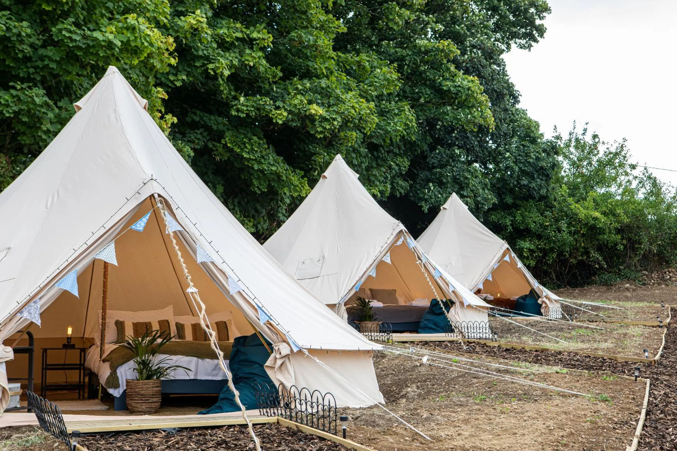 Activities in The Three Tuns