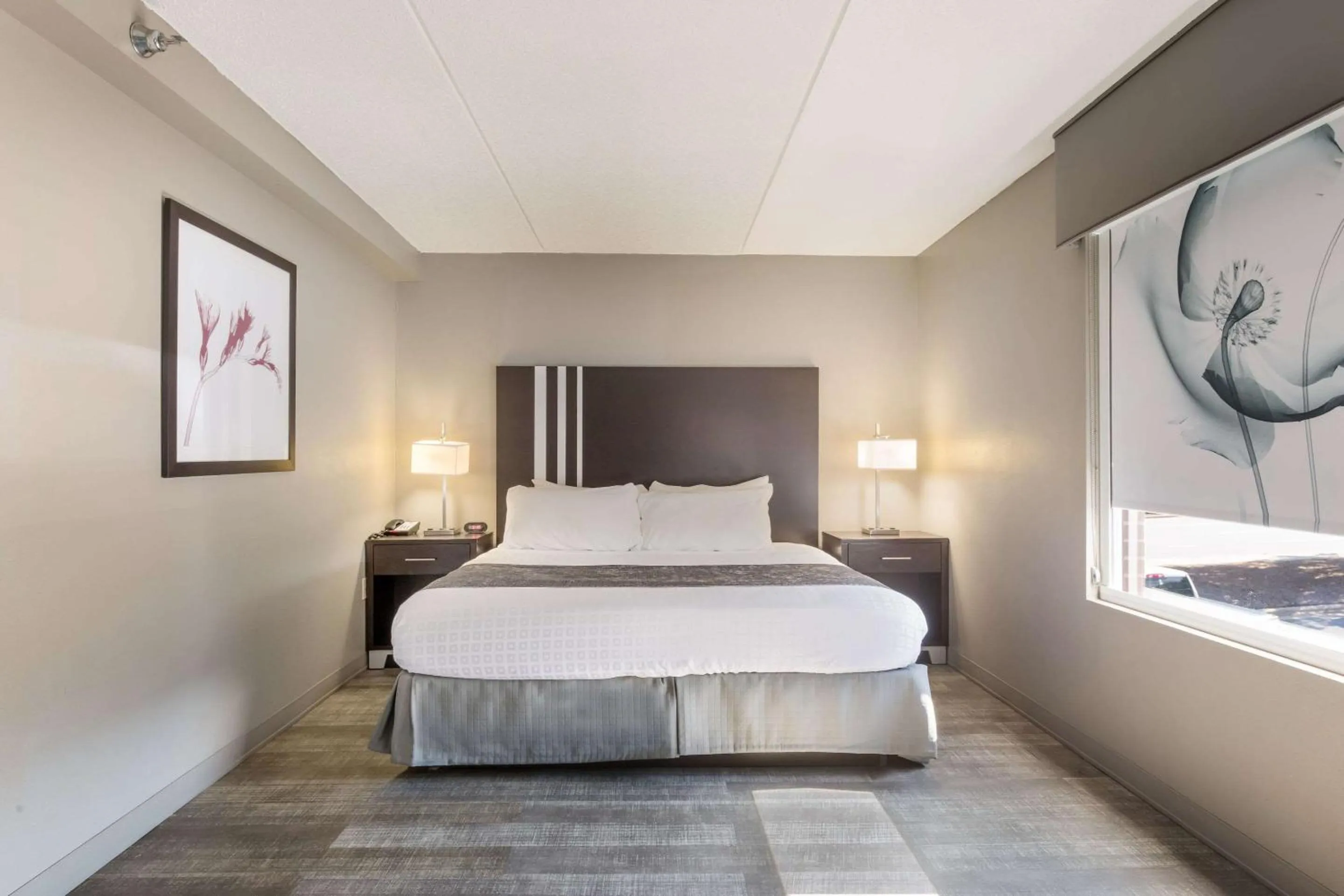 Bedroom, Bed in Clarion Pointe Greensboro Airport