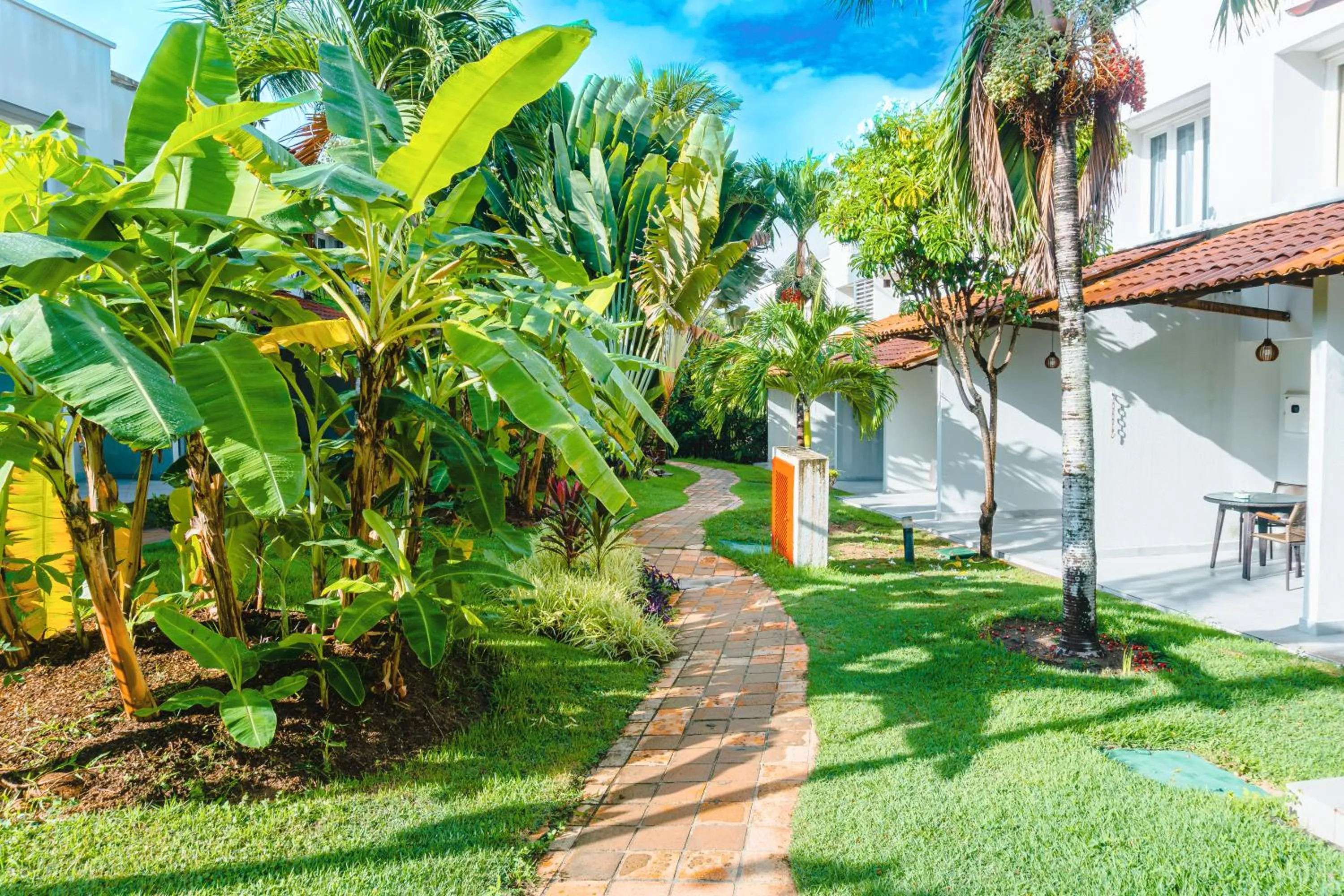 Garden in Hotel Pipa Atlântico