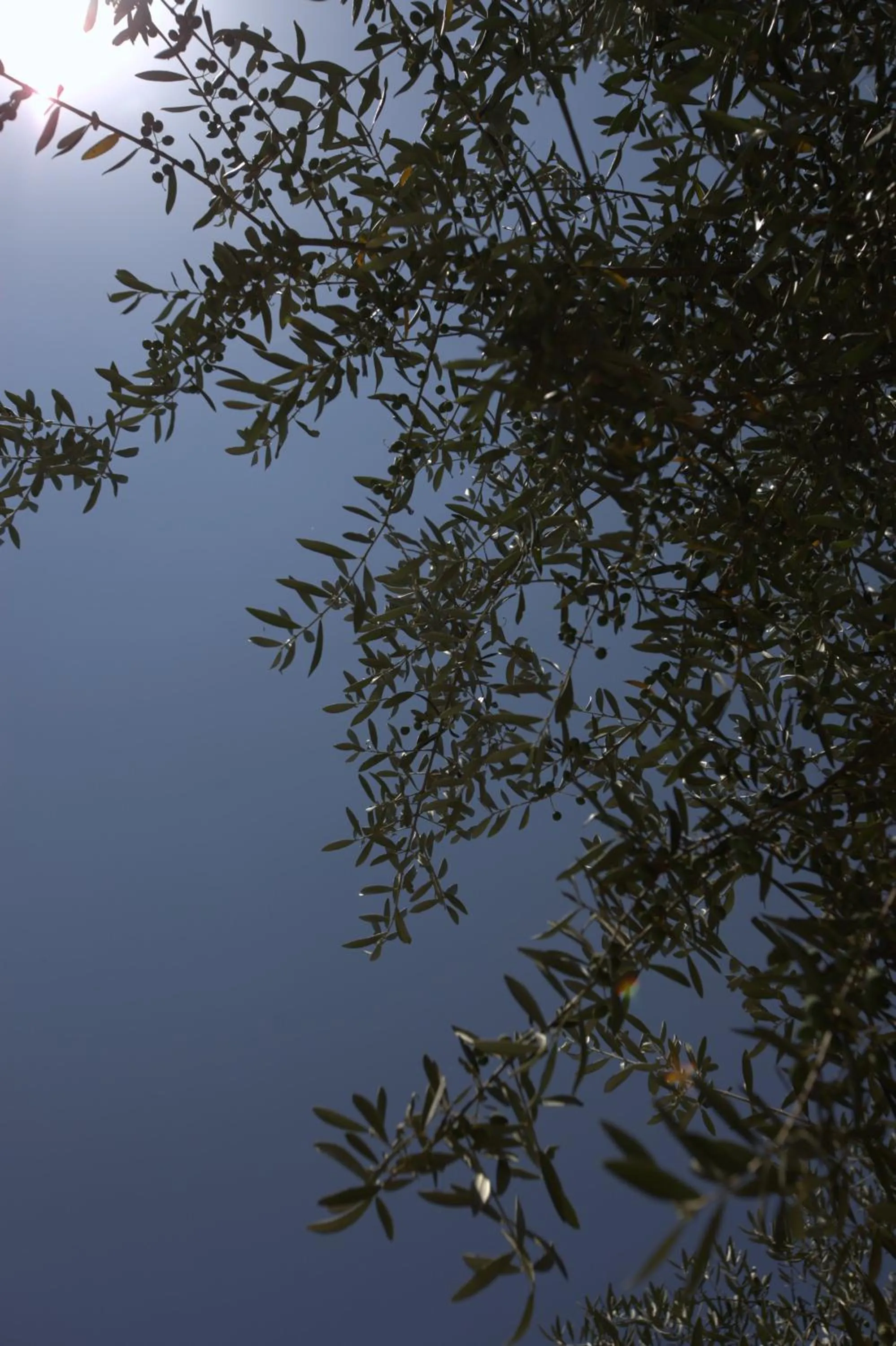 View (from property/room) in Bed And Breakfast Sunflower