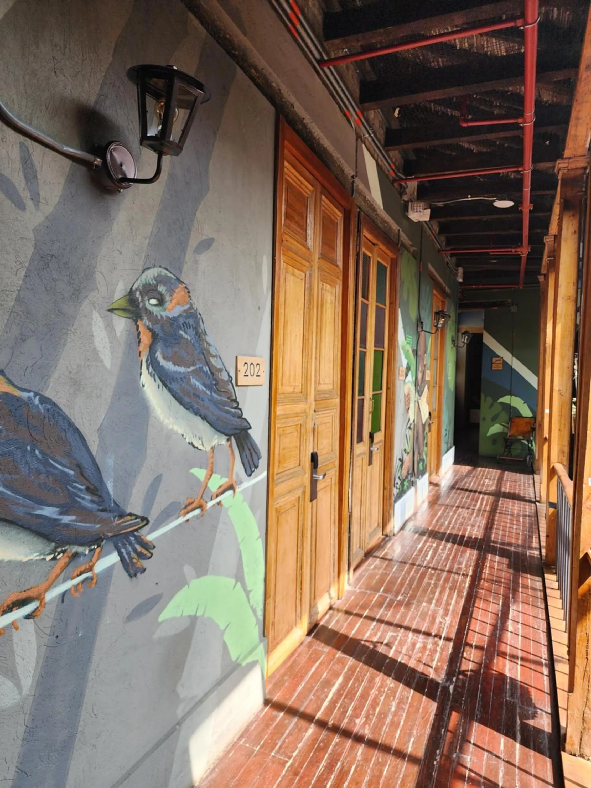 Area and facilities in Socialtel Candelaria Bogotá