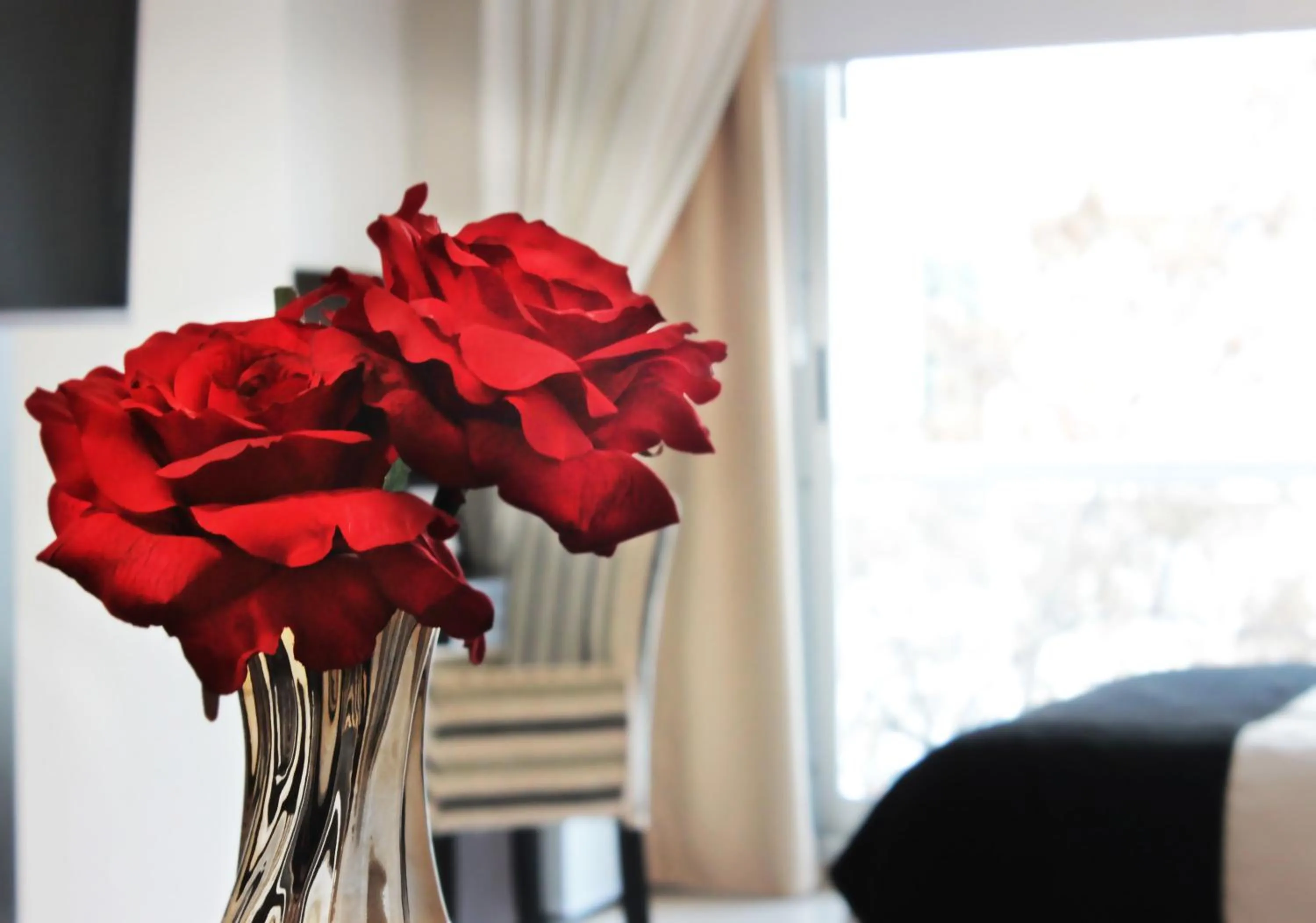 Other in Hotel Boutique Devoto