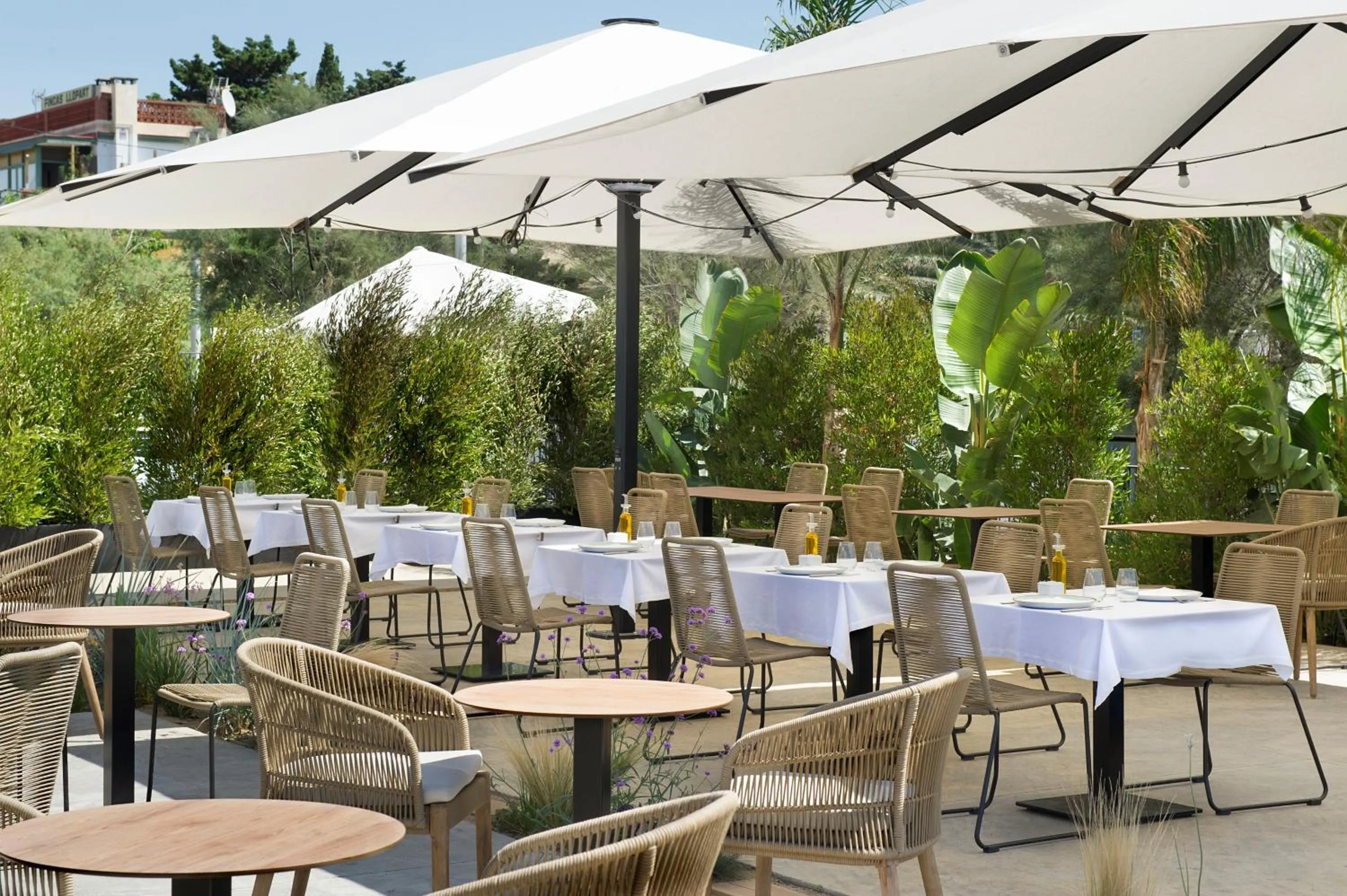 Restaurant/places to eat in Hotel Boutique dONNA