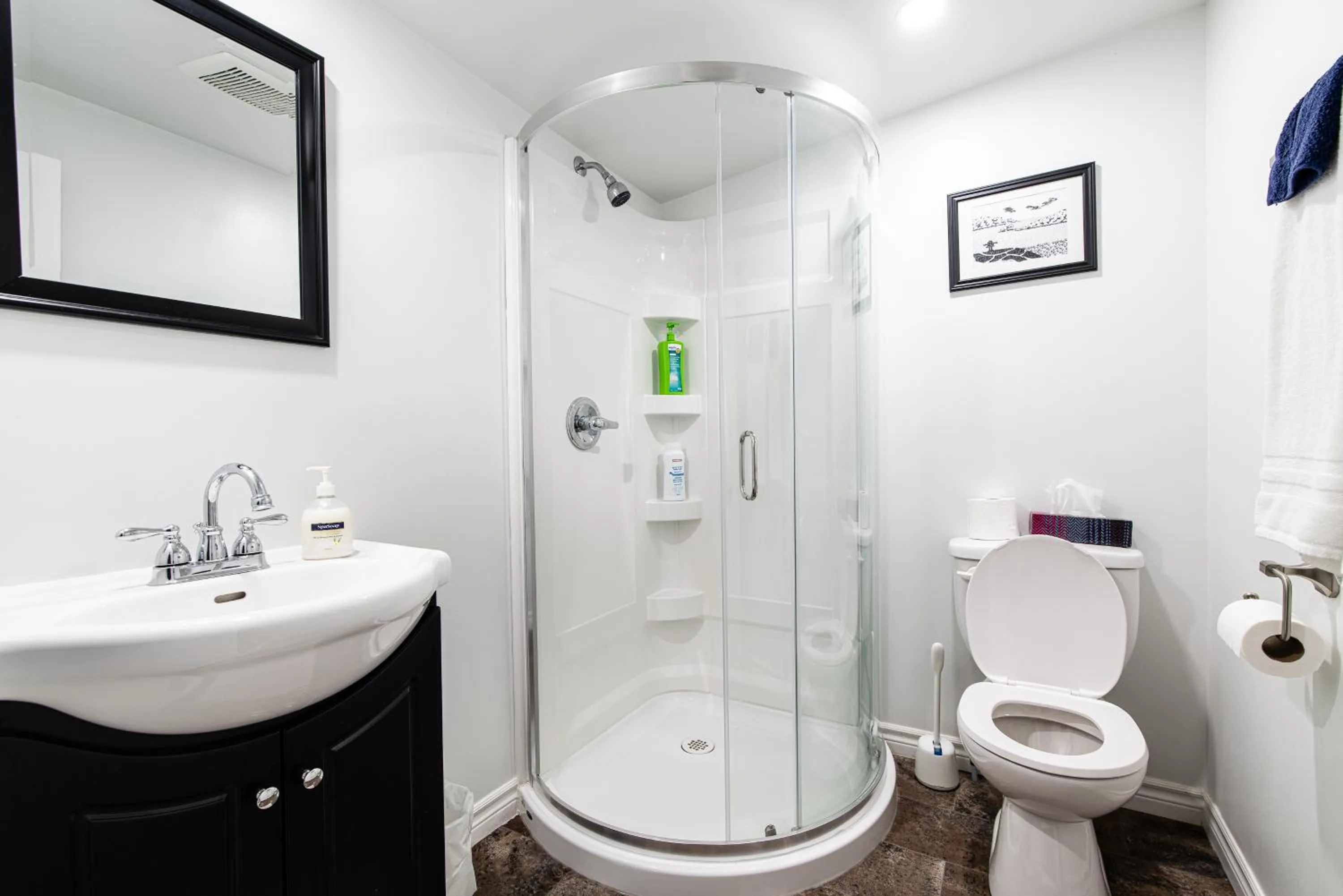 Shower in Out East B&B - Norris Point