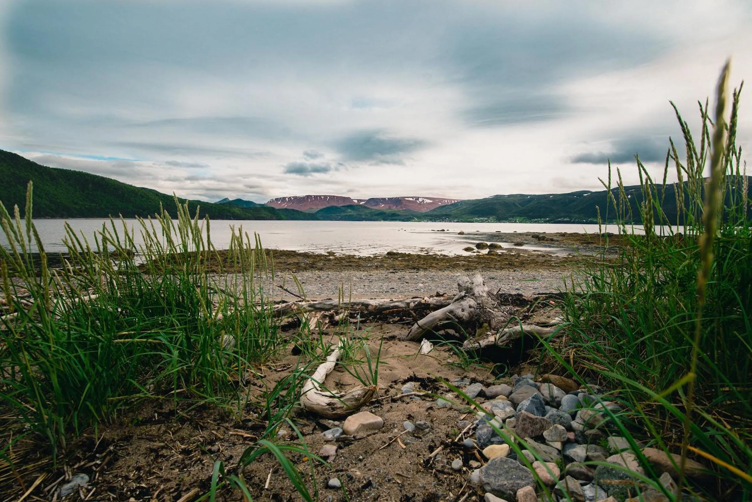 Natural landscape in Out East B&B - Norris Point