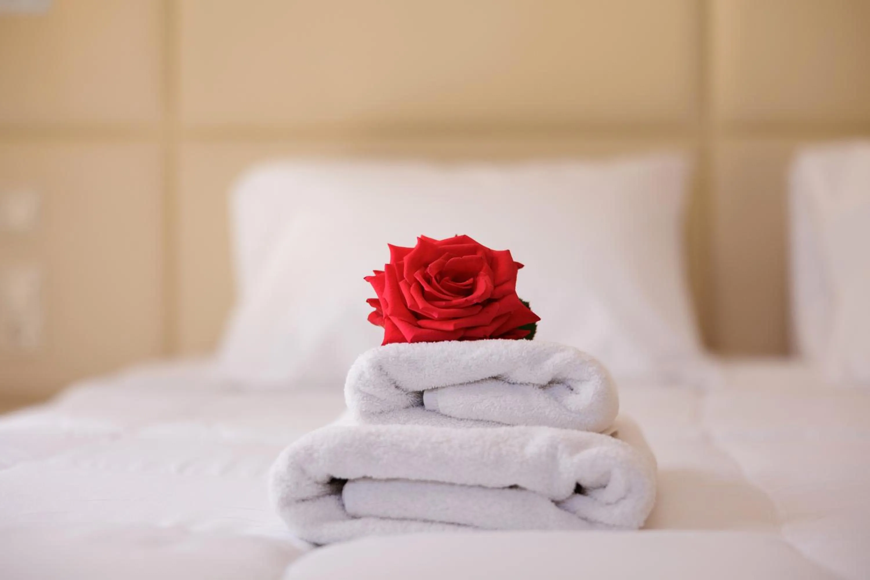 Bed in Santos Luxury Apartments