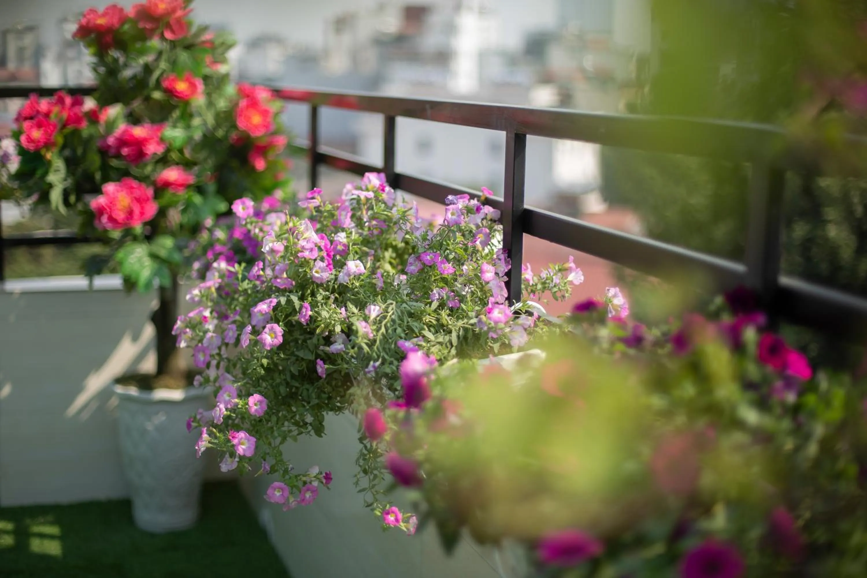 View (from property/room) in Hanoi Lotus Boutique Hotel