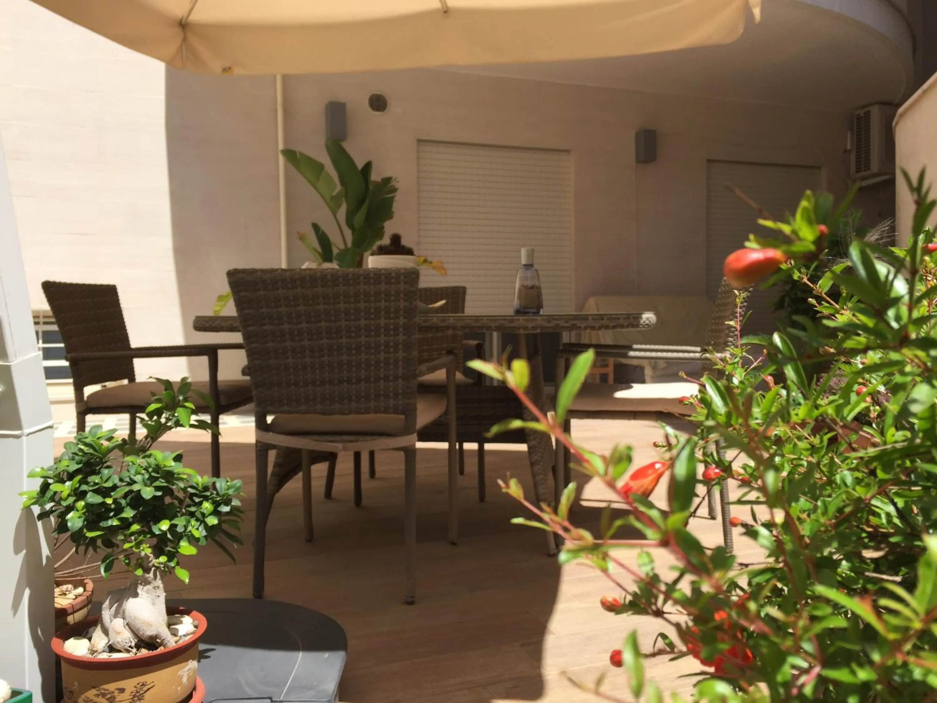 Garden in Casa Roberta