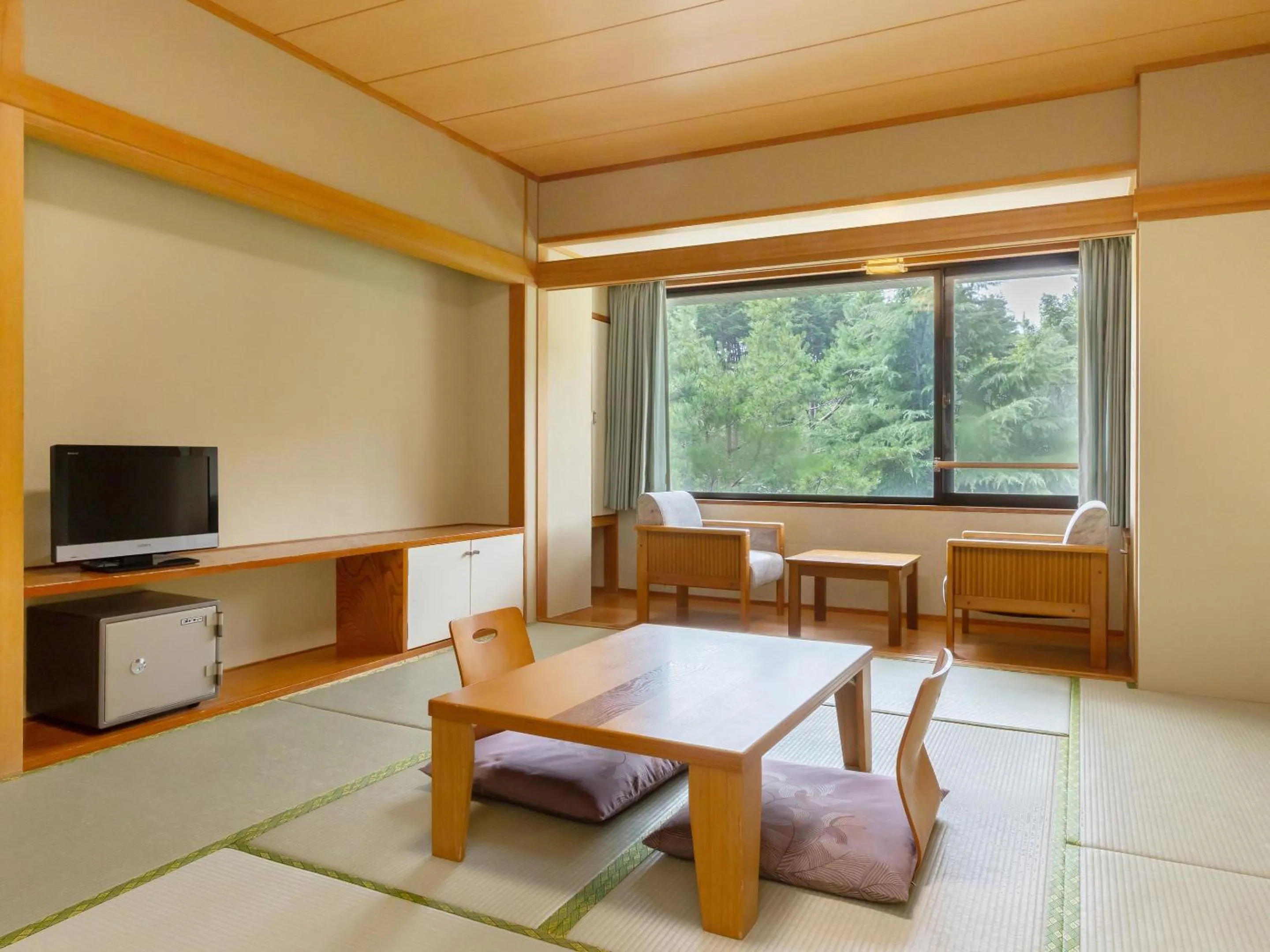 Photo of the whole room in Evergreen-Fuji