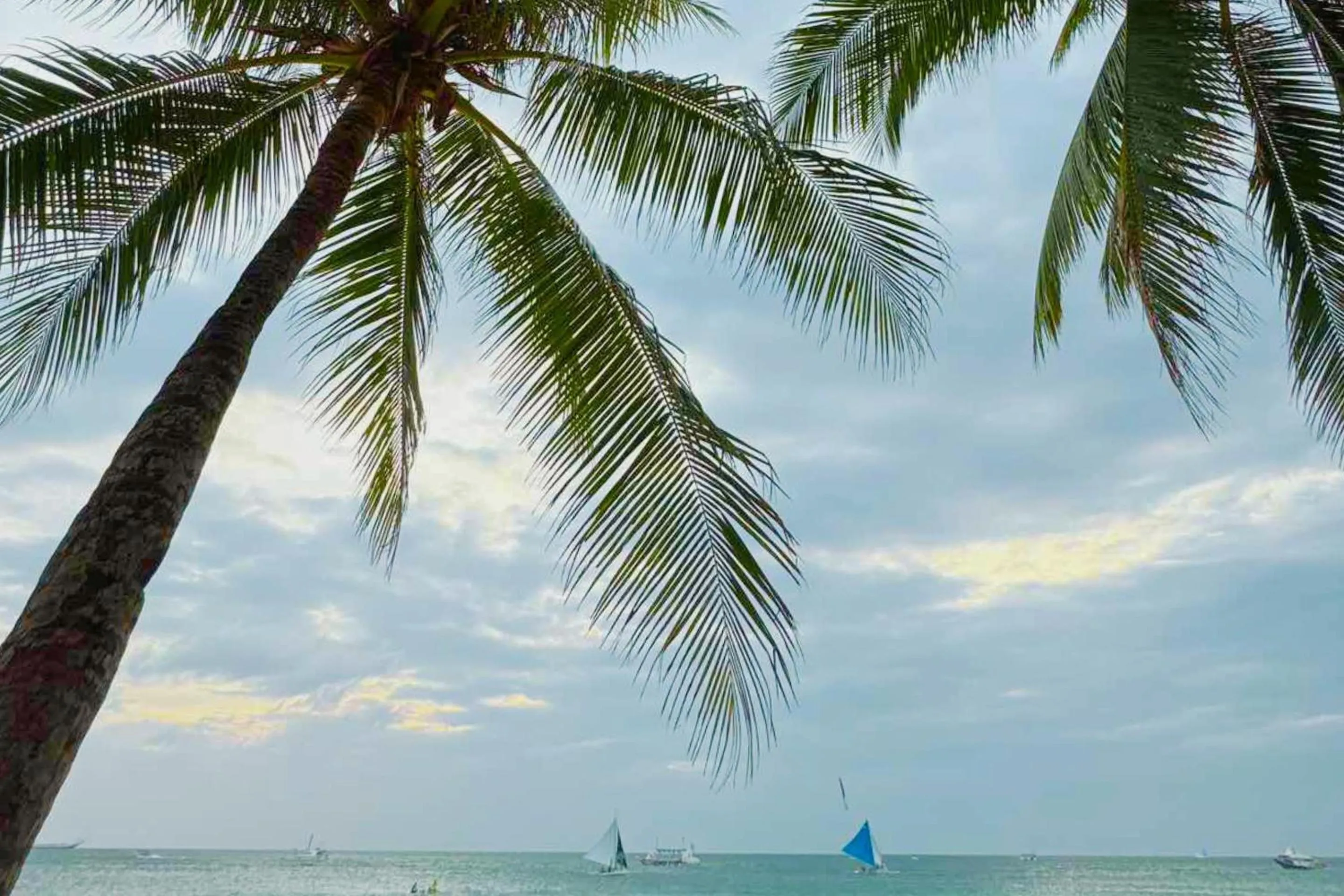 The Muse Beach Front Hotel Boracay