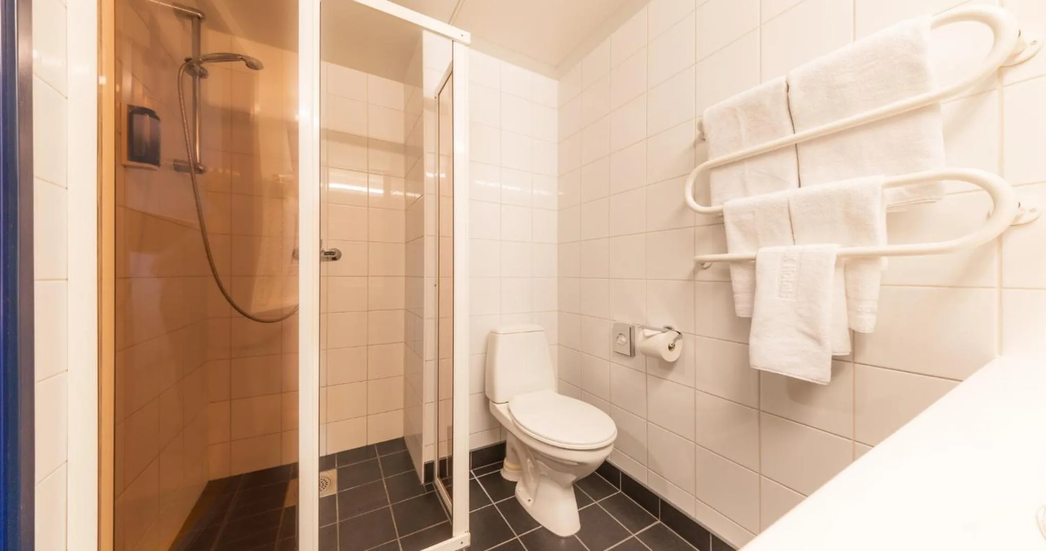 Toilet in Tallink Express Hotel