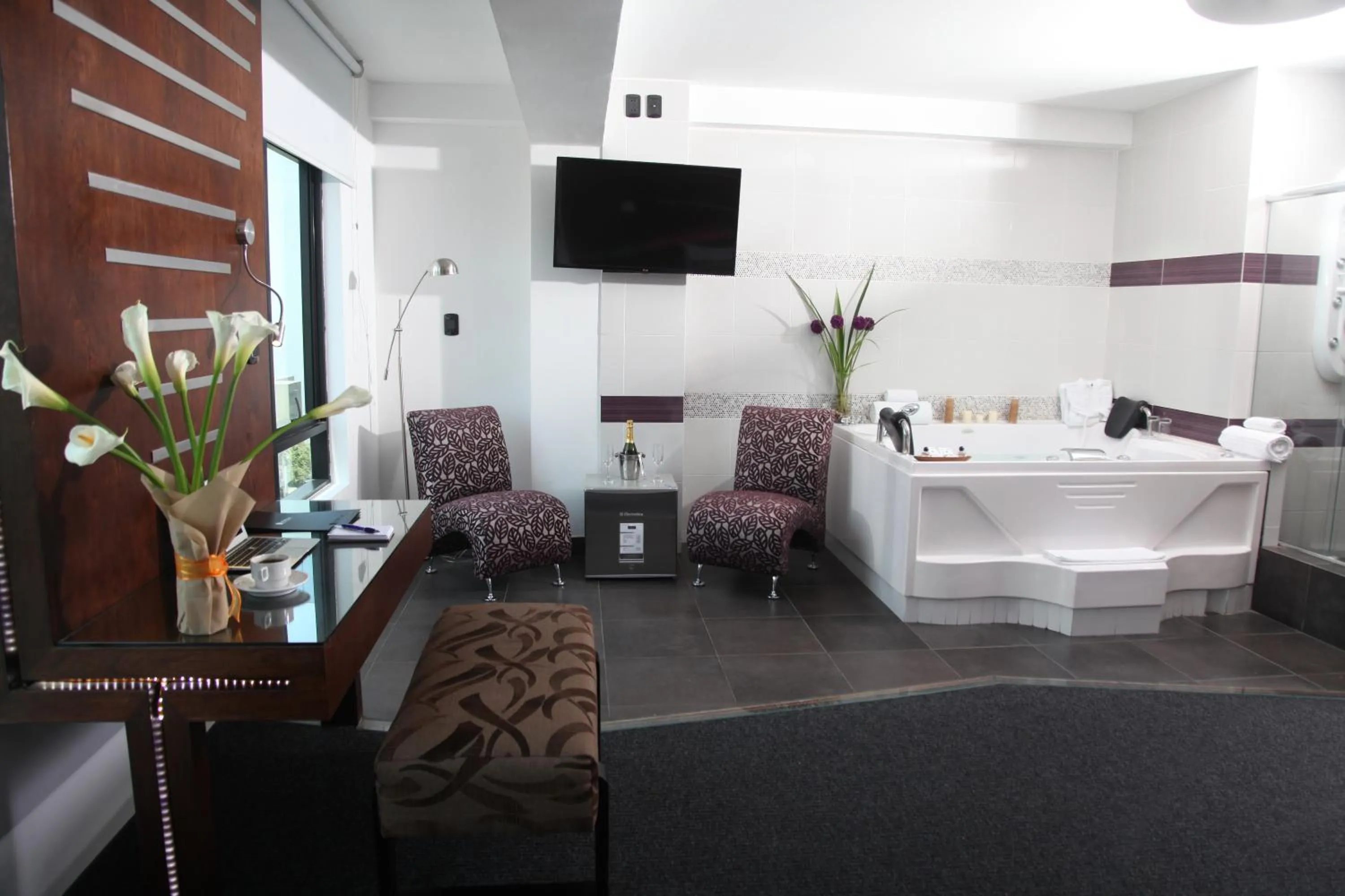 TV and multimedia in Hotel Rivera Inn