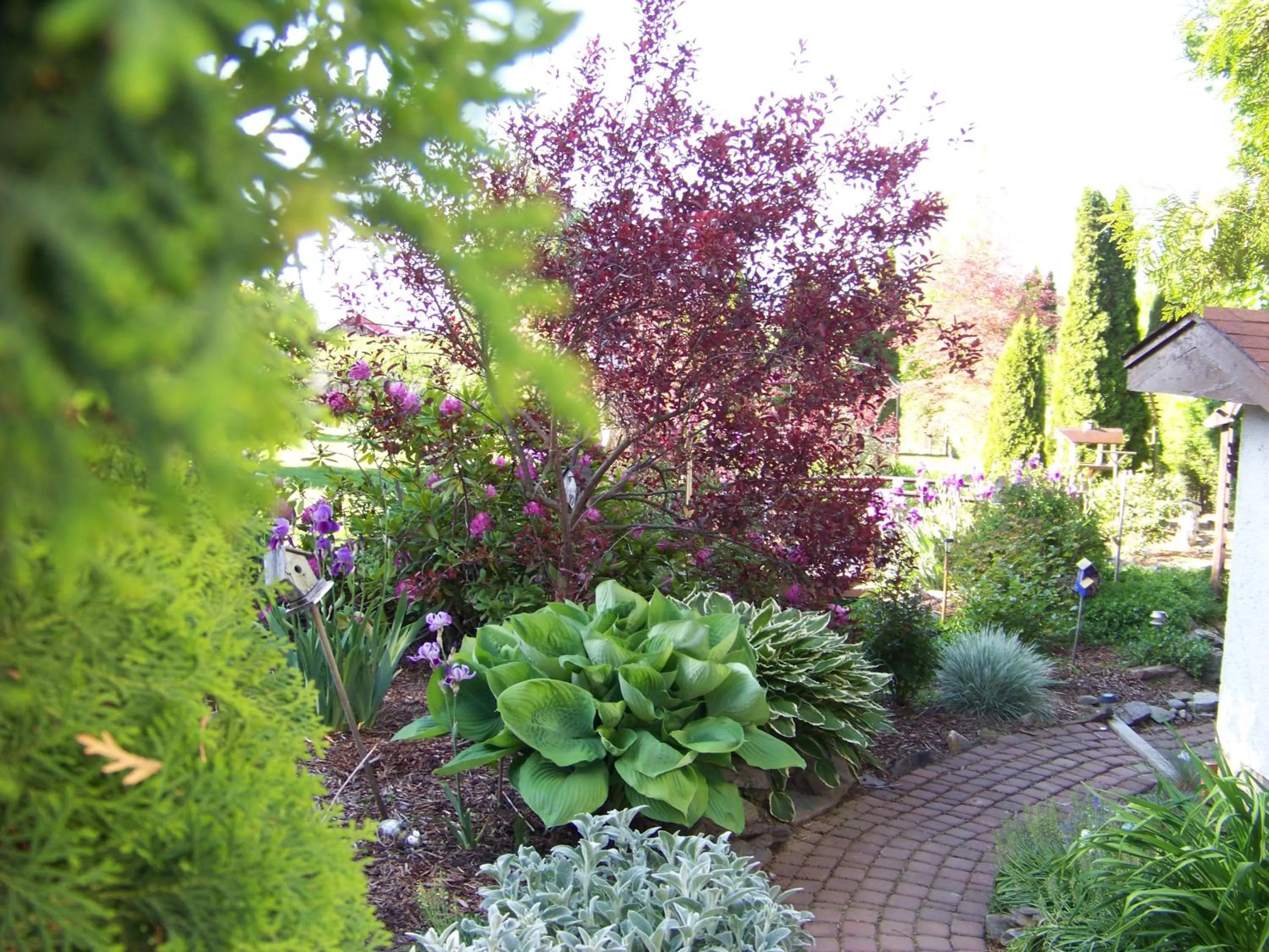 Property building in Bavarian Orchard Motel