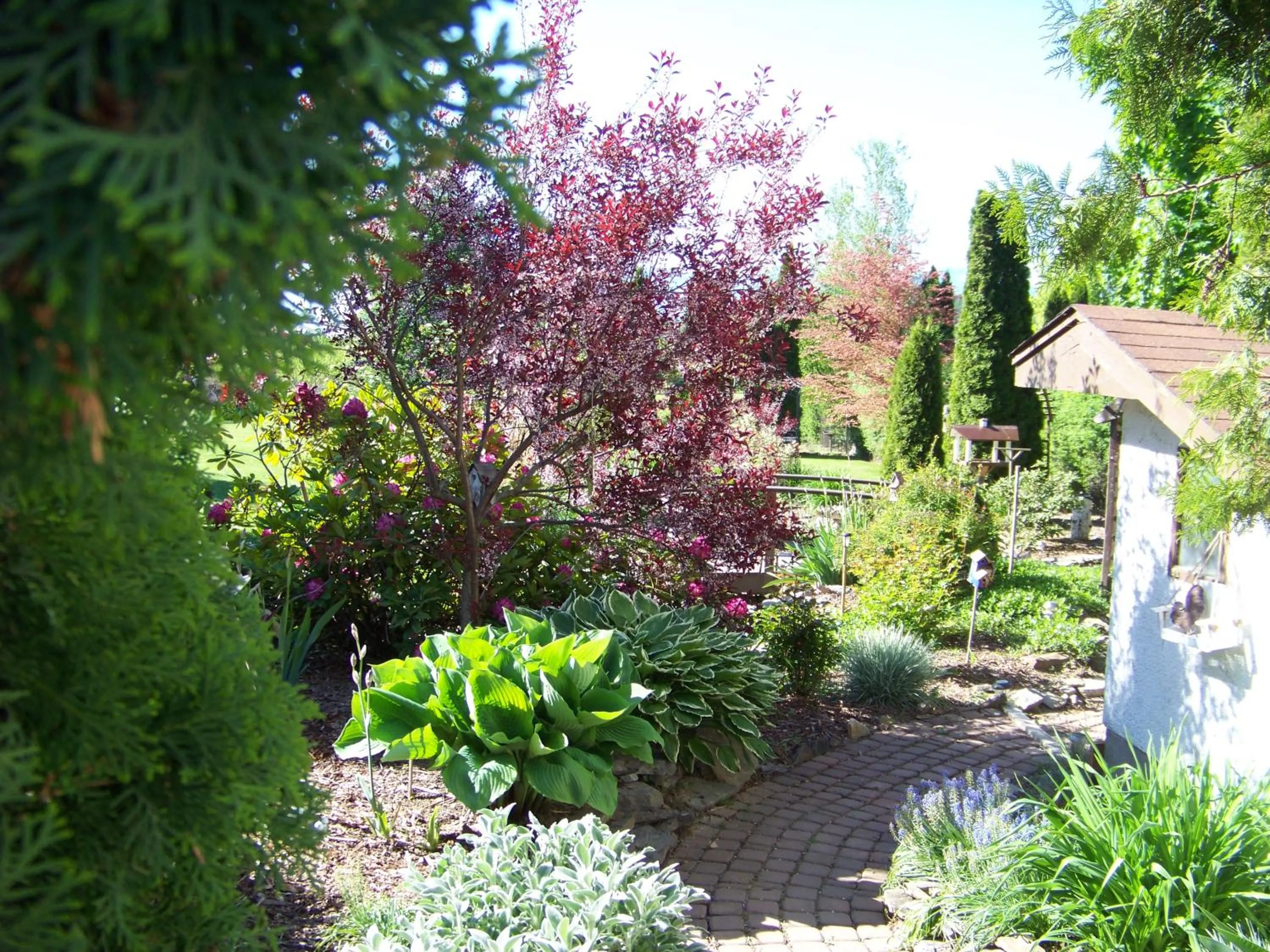 Property building in Bavarian Orchard Motel