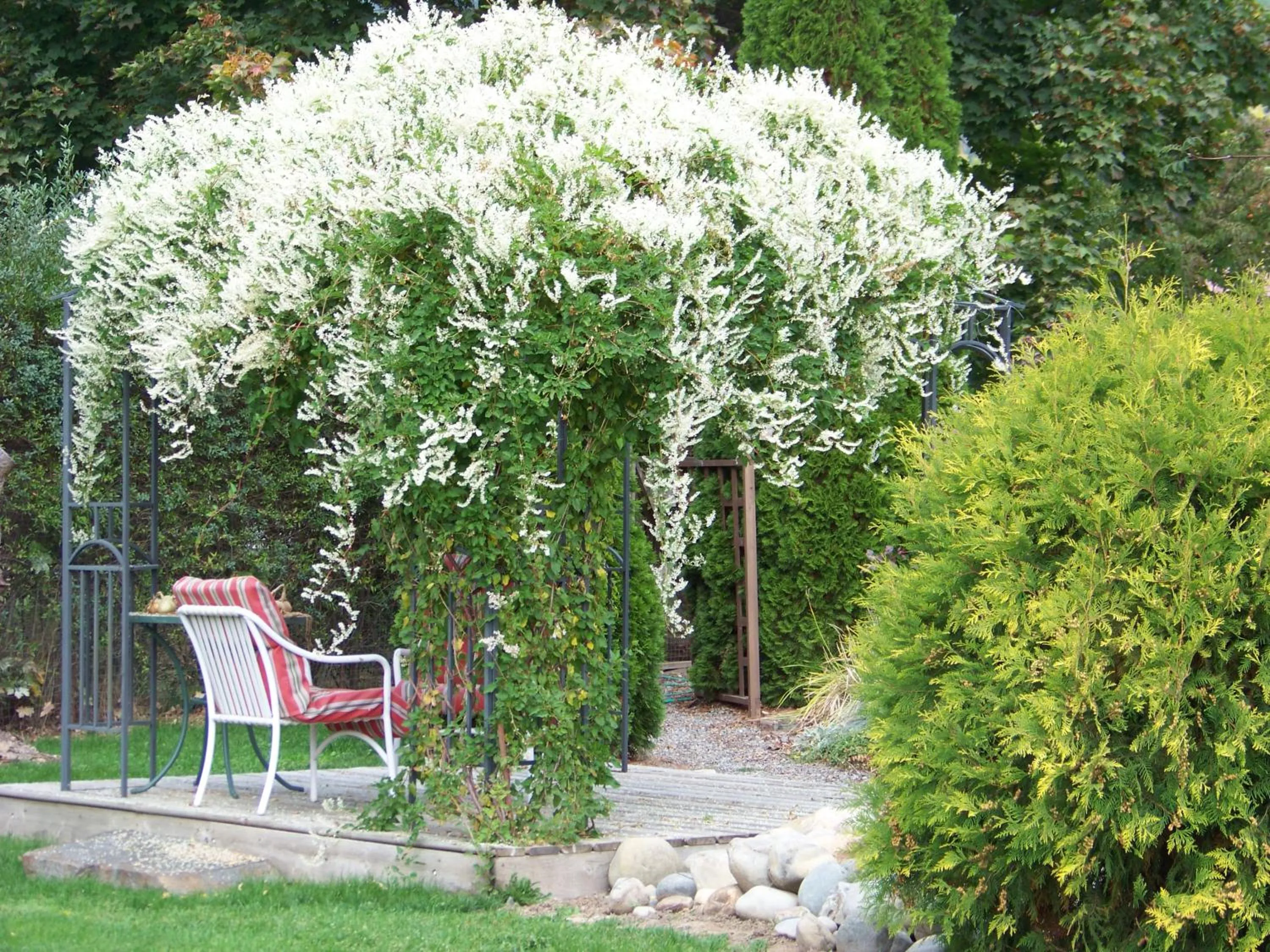 Property building in Bavarian Orchard Motel