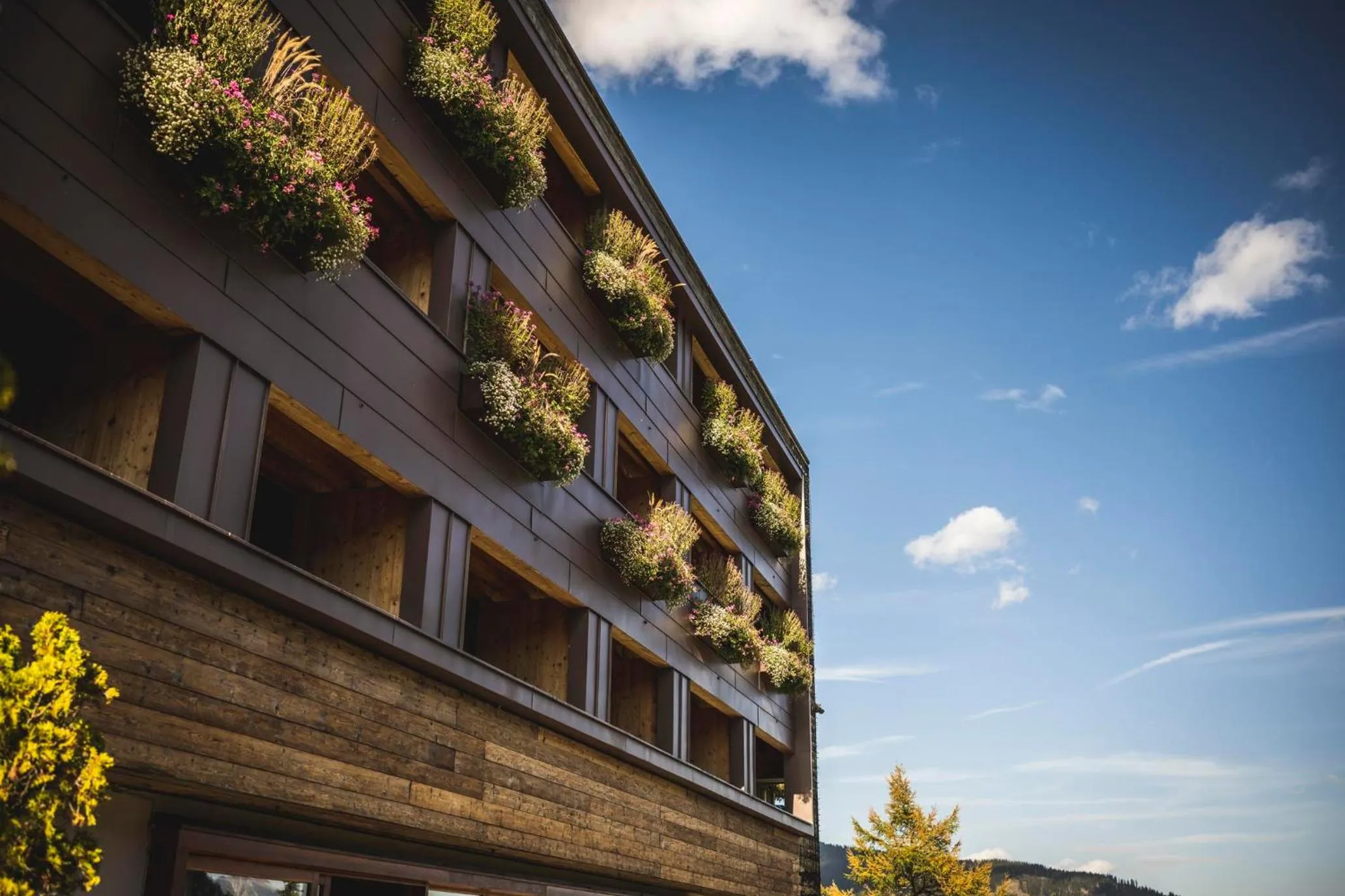 Property building in Familotel Alphotel