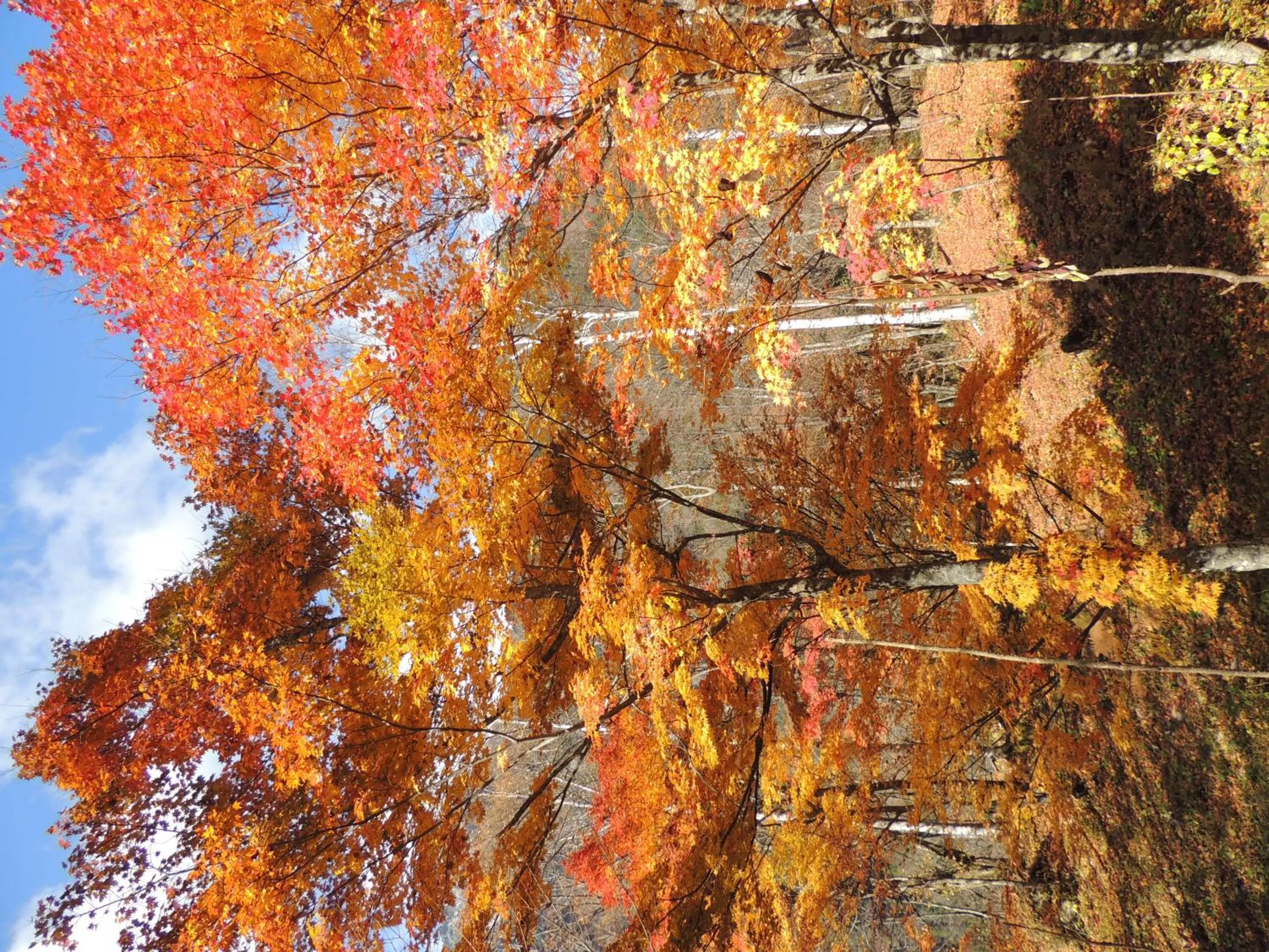 Nearby landmark in Nakao Kogen Hotel Kazaguruma