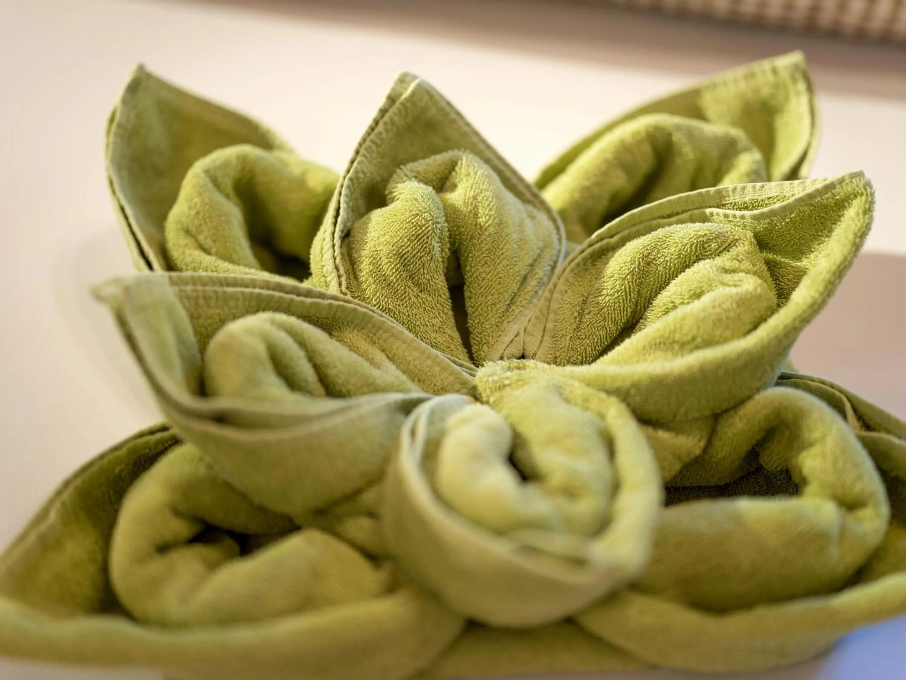 Staff in Gasthof zur Post