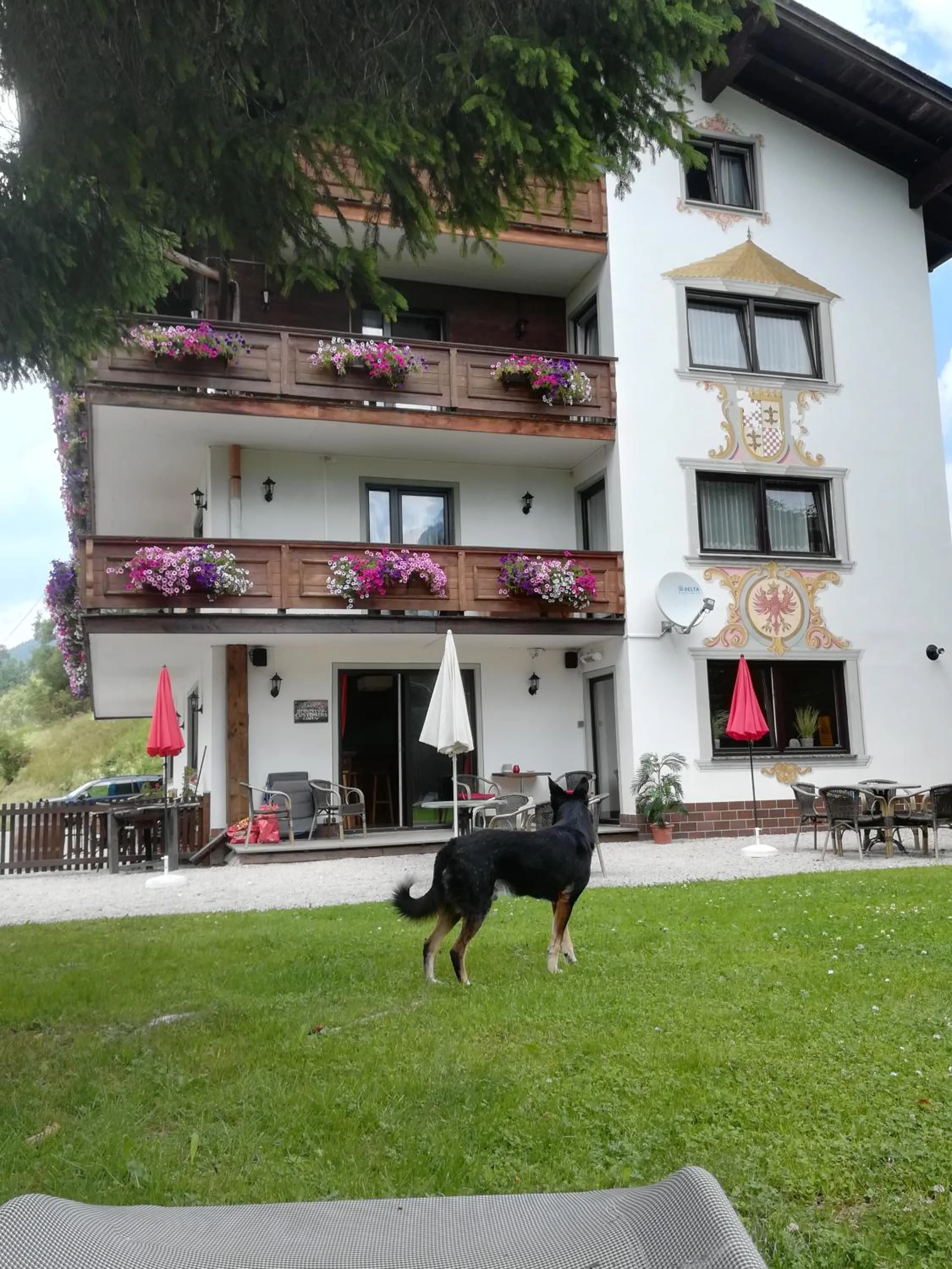 Day in Bed & Breakfast Der Tiroler
