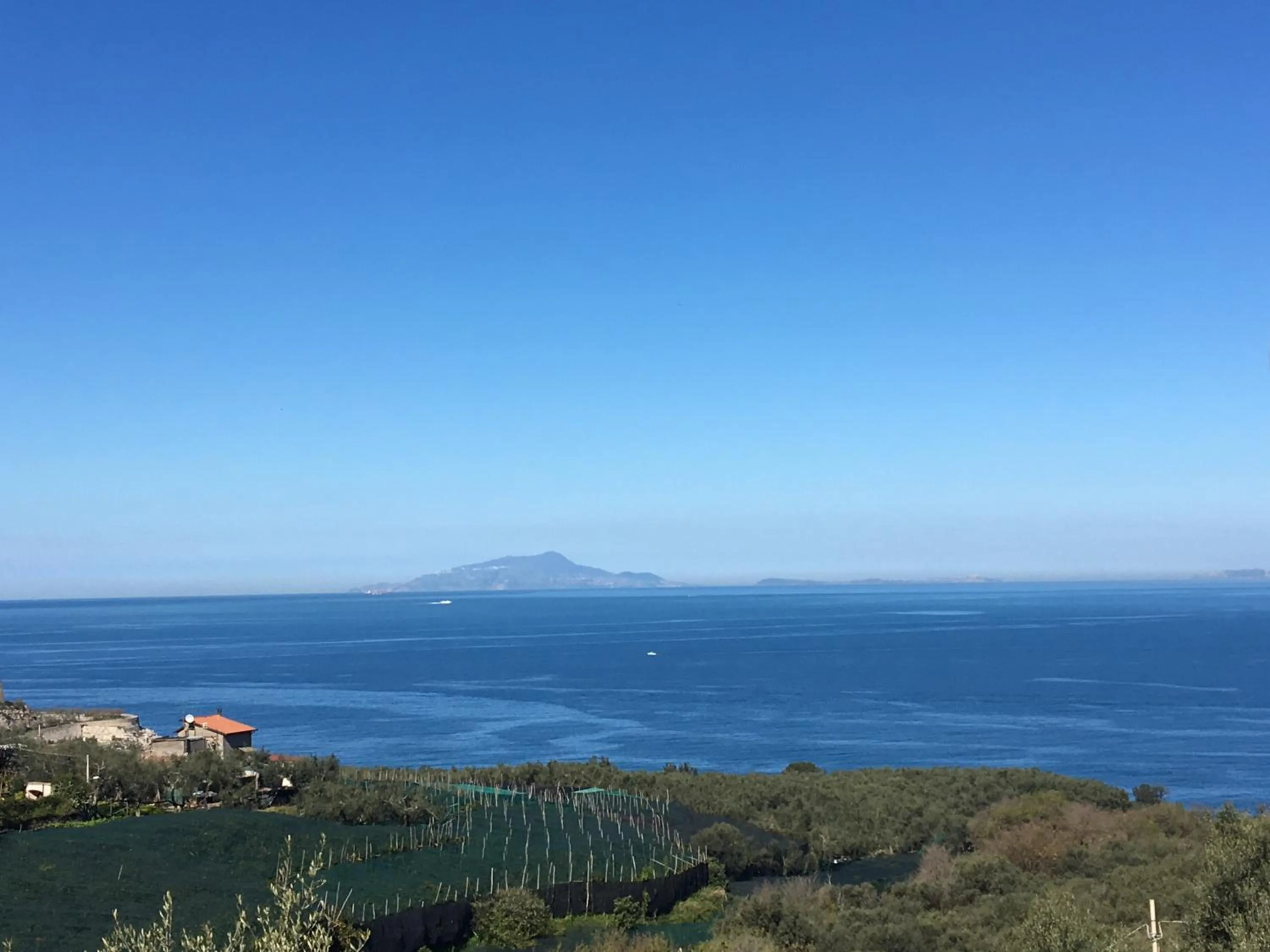 View (from property/room) in Hotel Dania