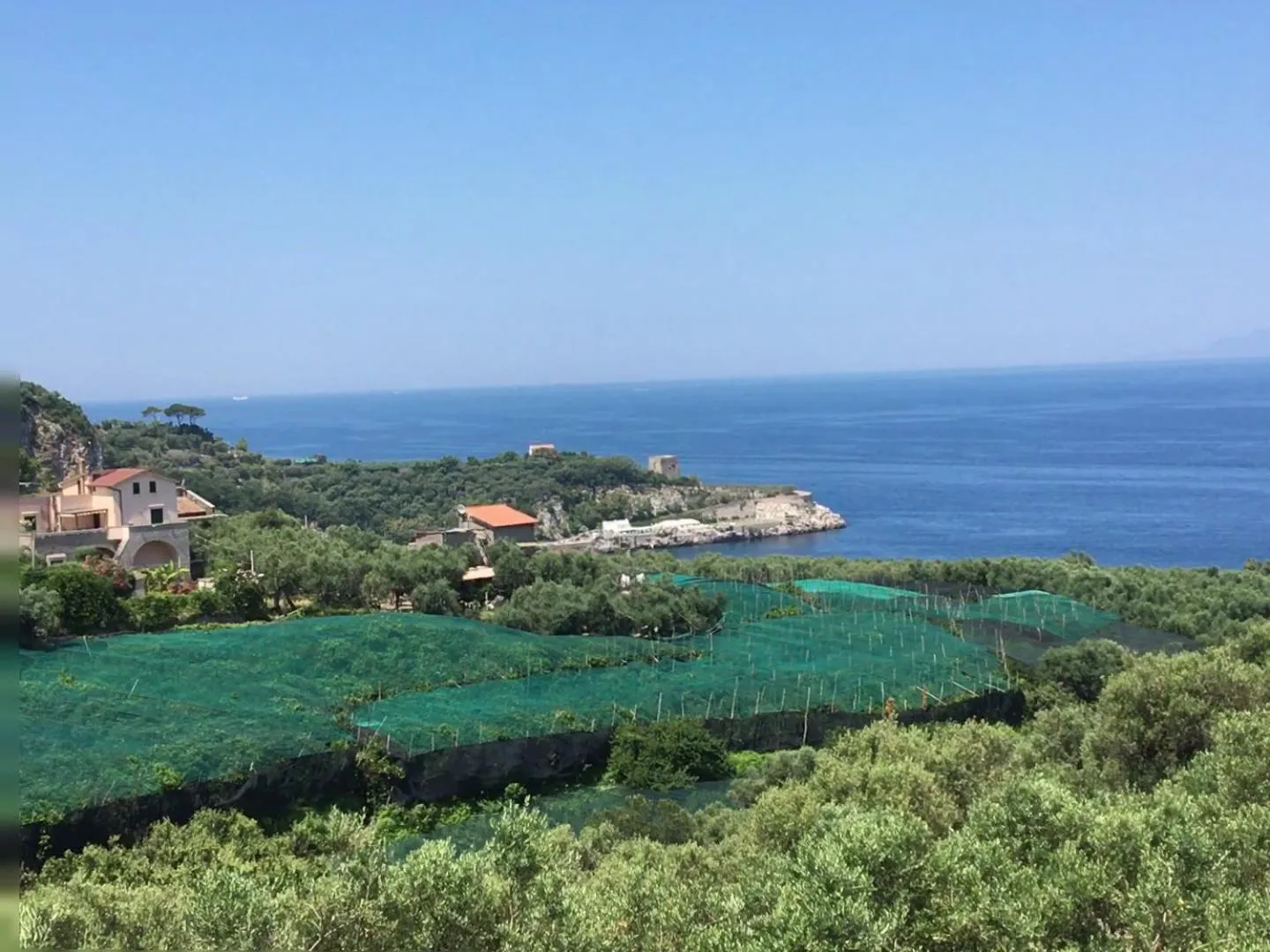 View (from property/room) in Hotel Dania