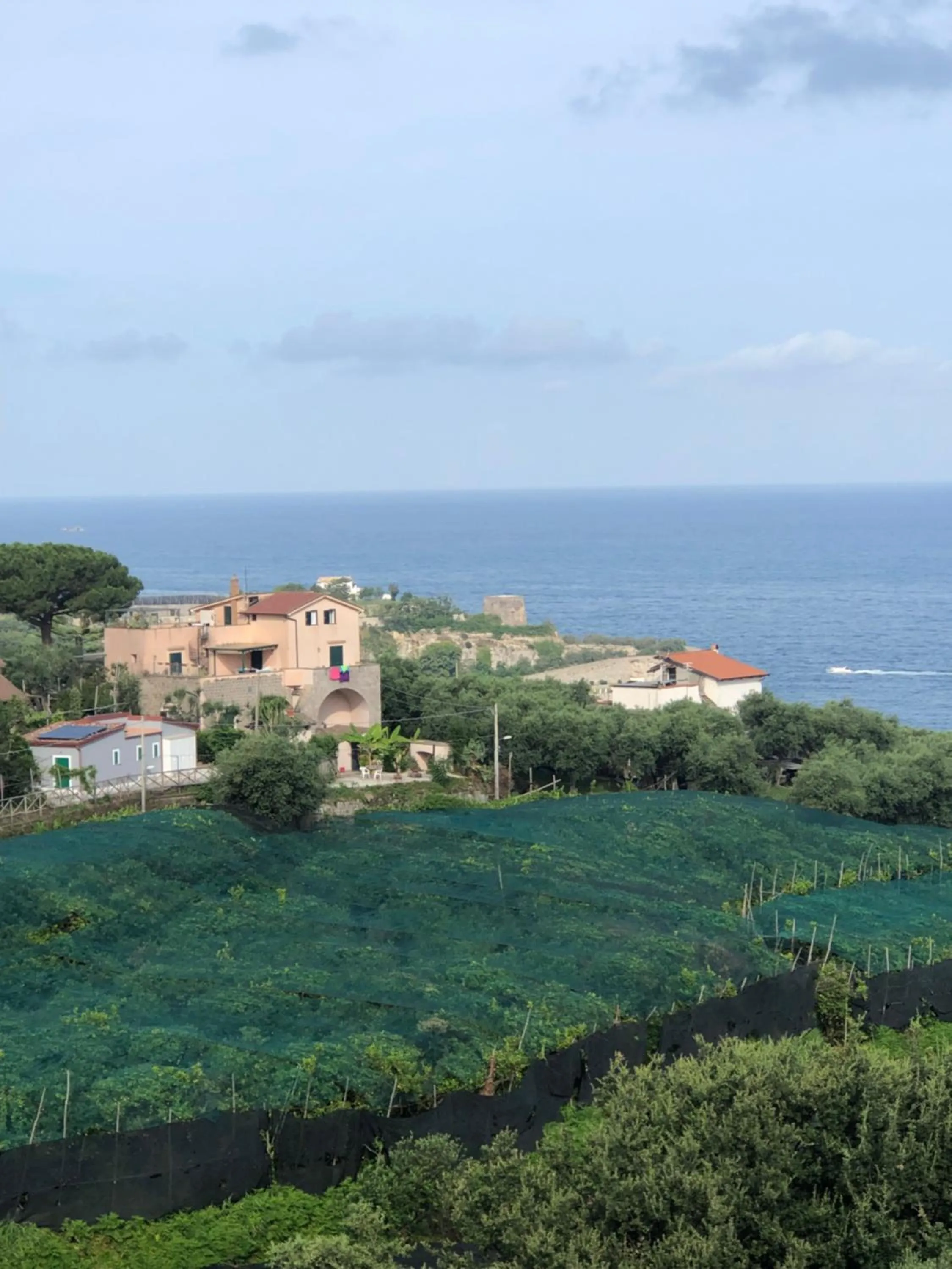 Garden view in Hotel Dania