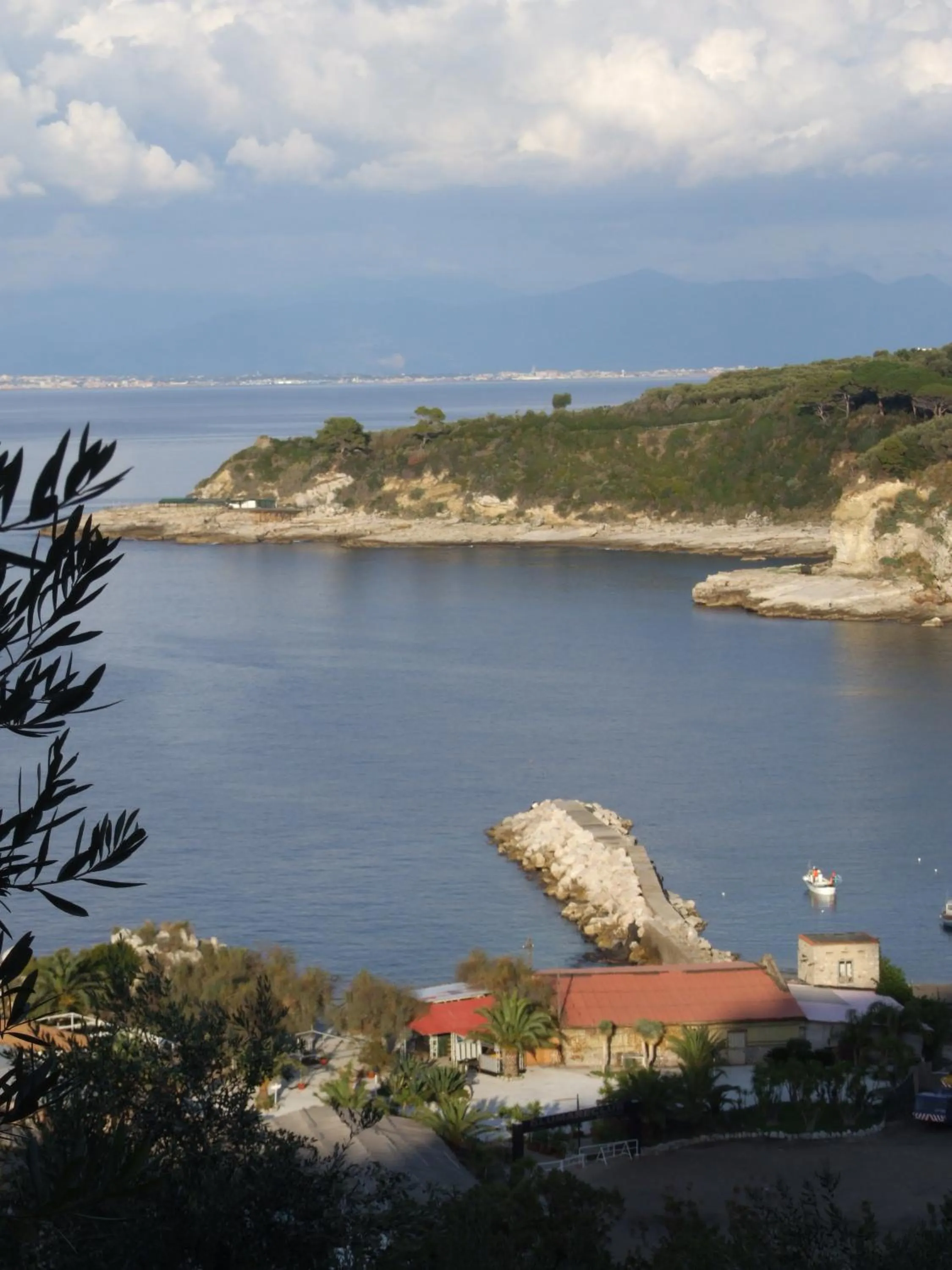 Natural landscape in Hotel Dania