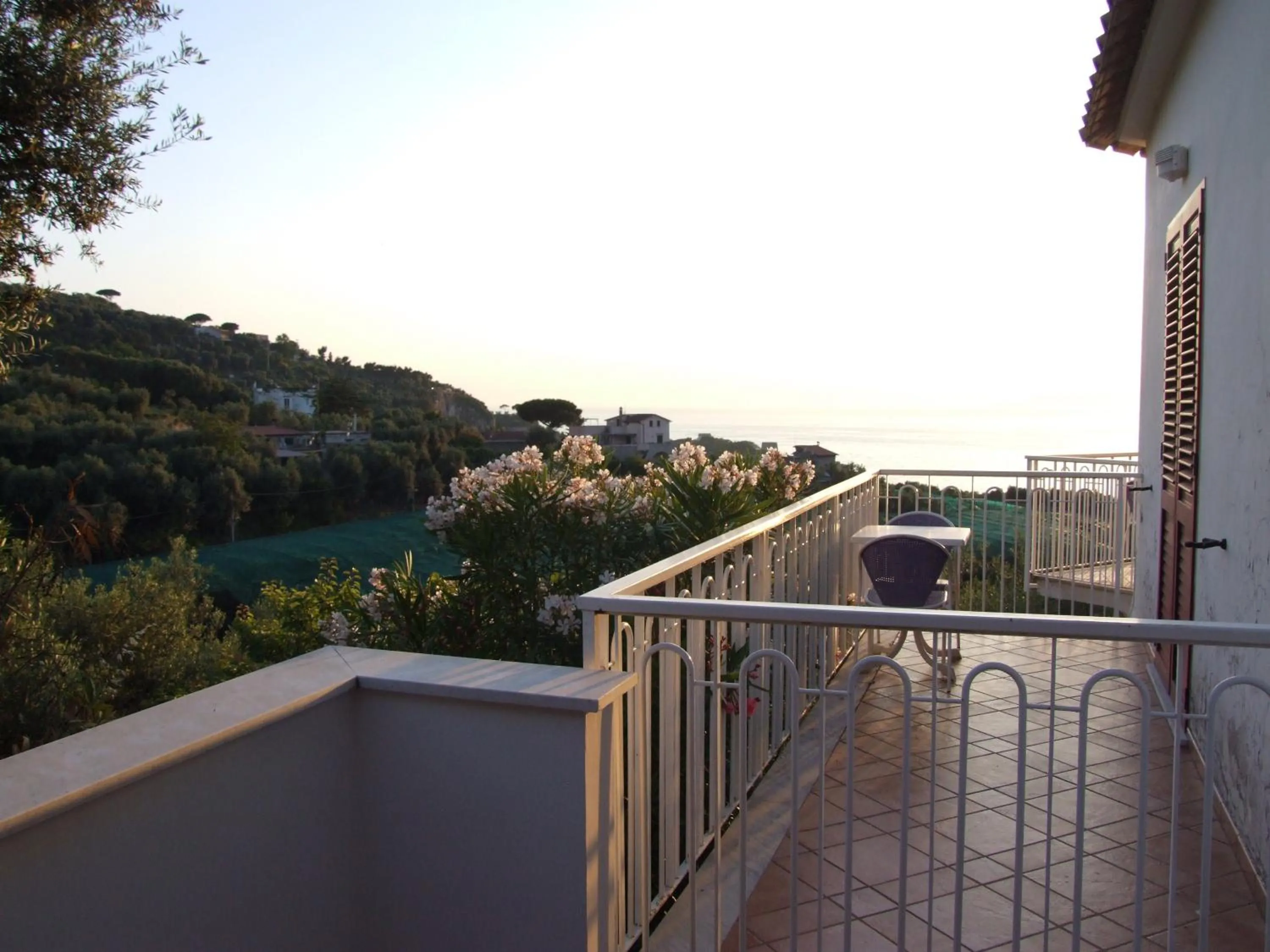 Balcony/Terrace in Hotel Dania