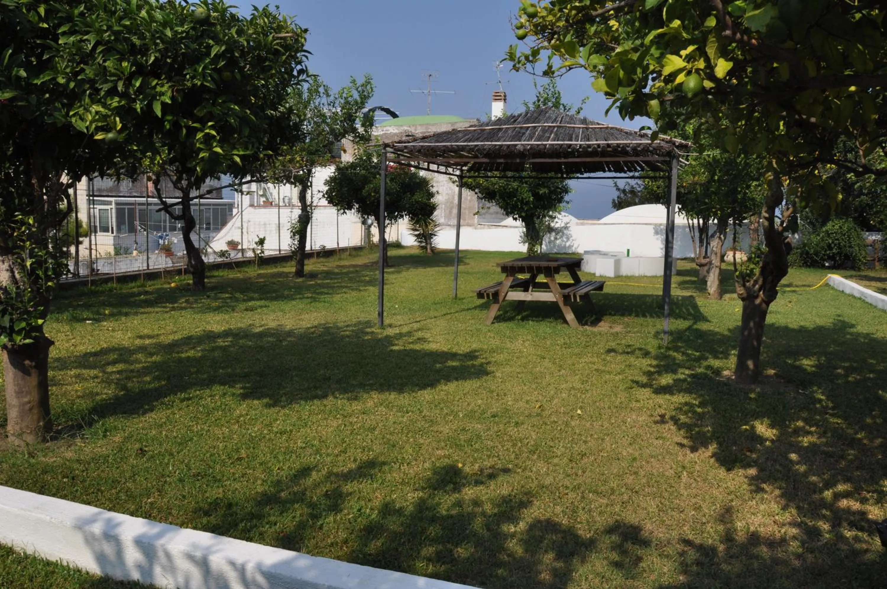 Garden in Hotel Savoia