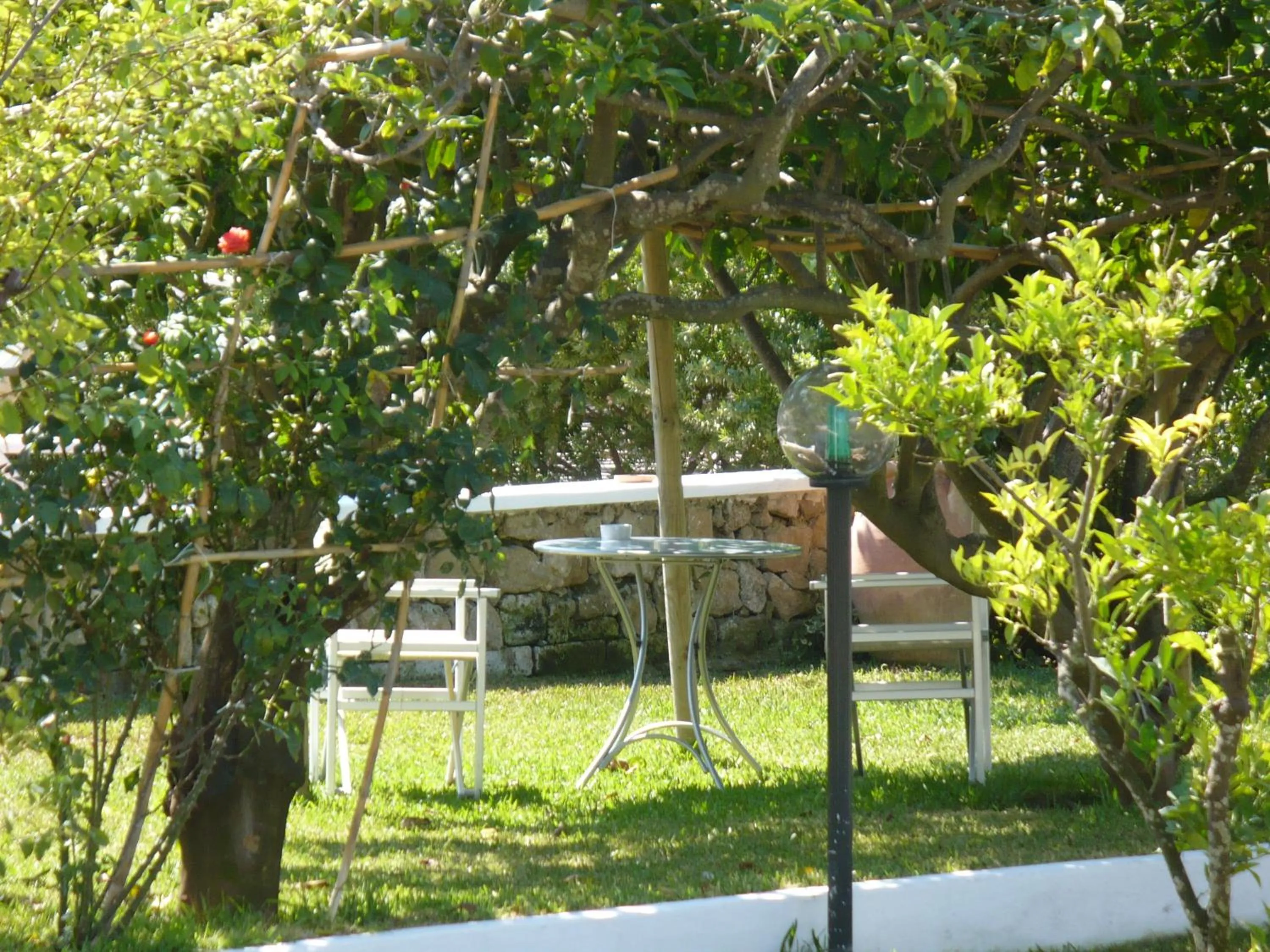 Garden in Hotel Savoia