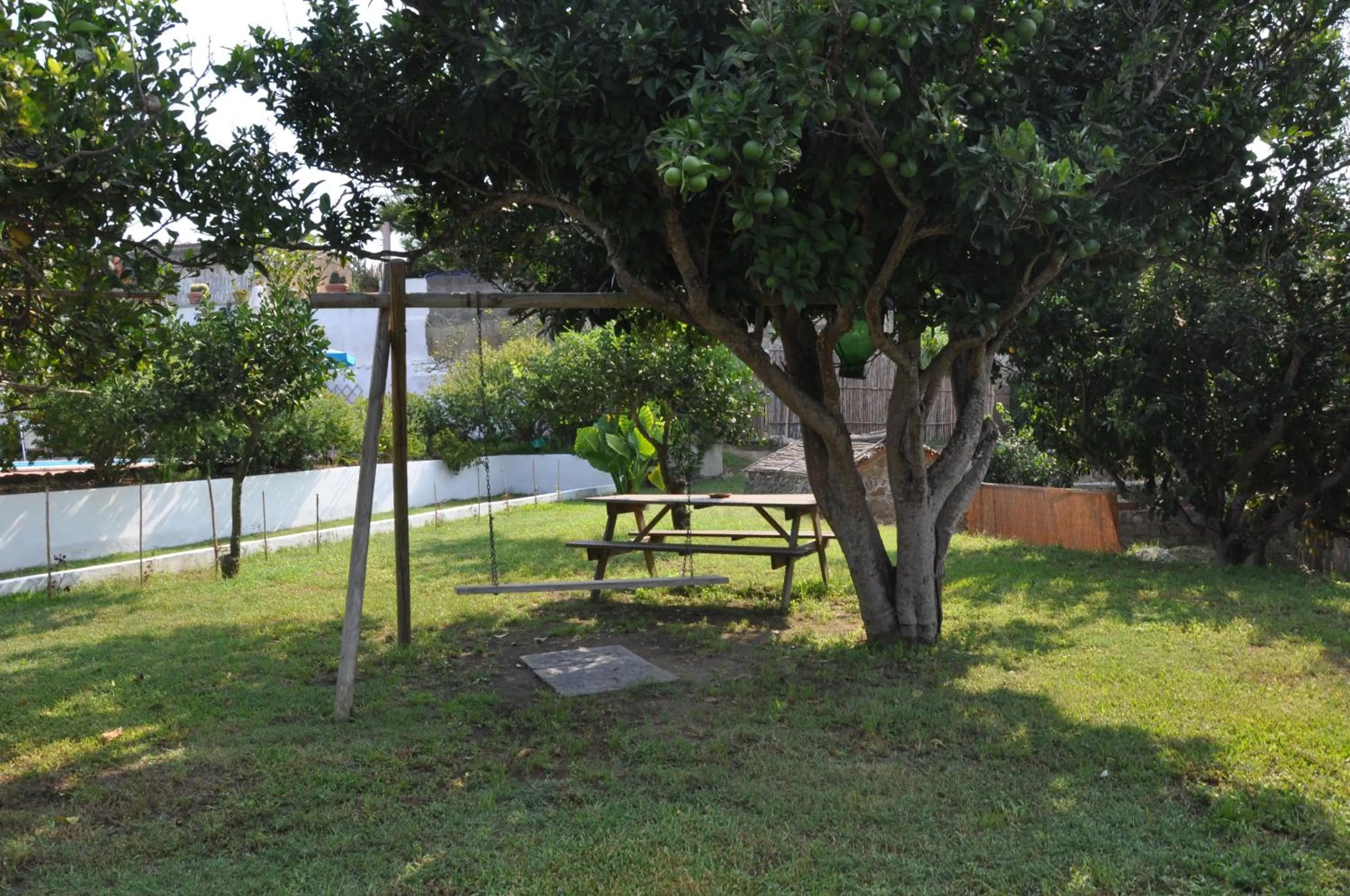 Garden in Hotel Savoia