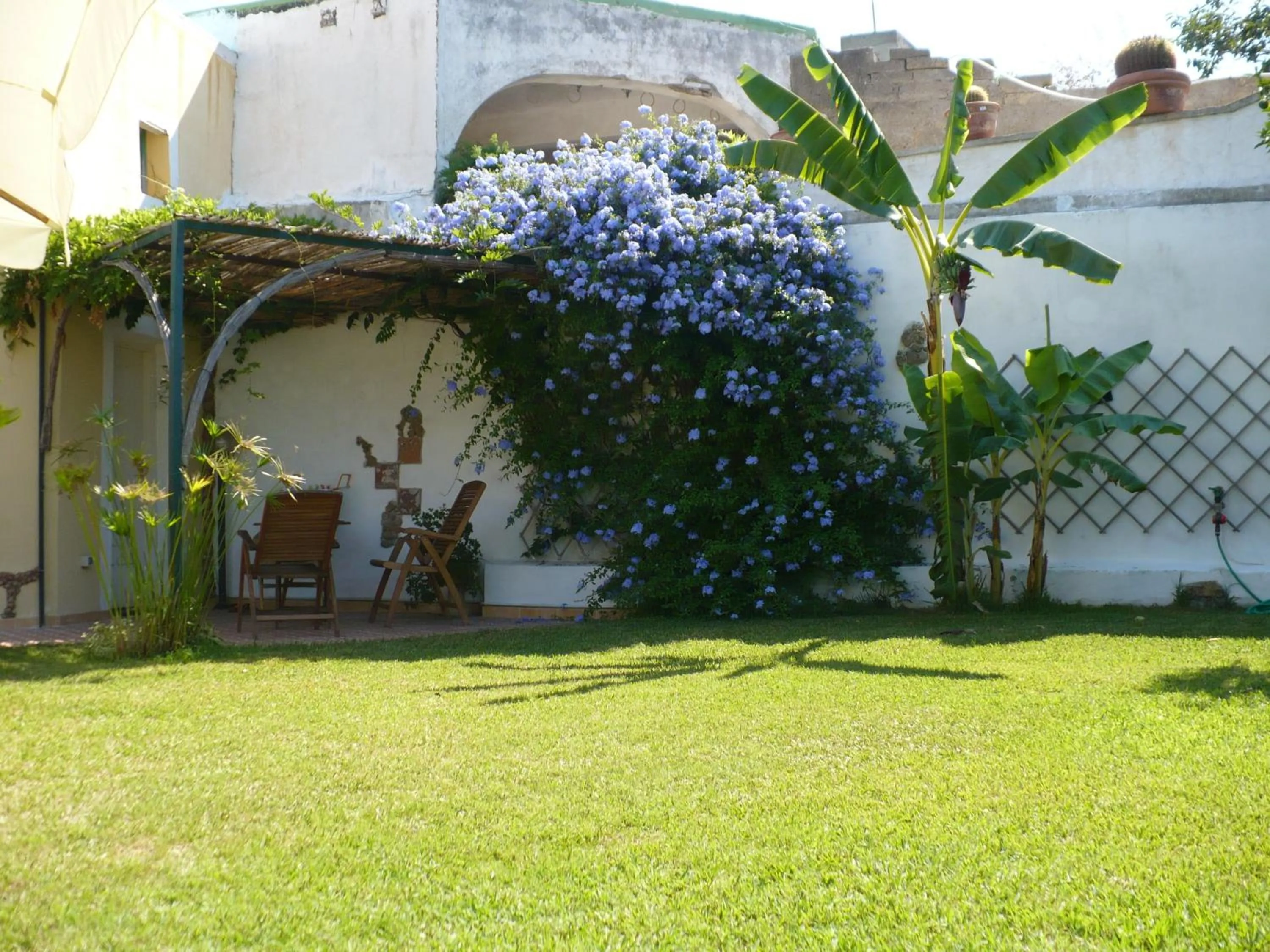 Balcony/Terrace in Hotel Savoia