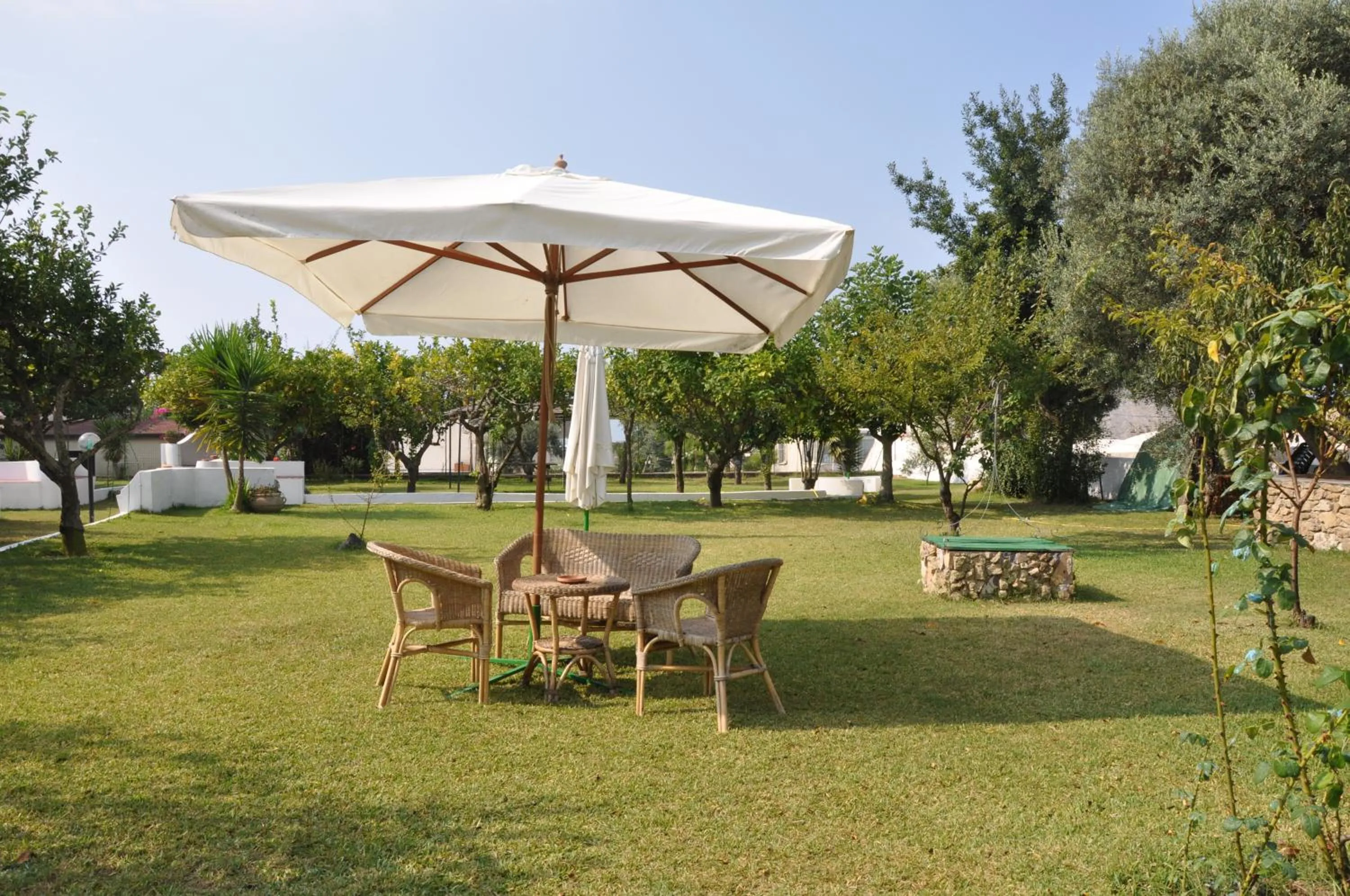 Garden in Hotel Savoia