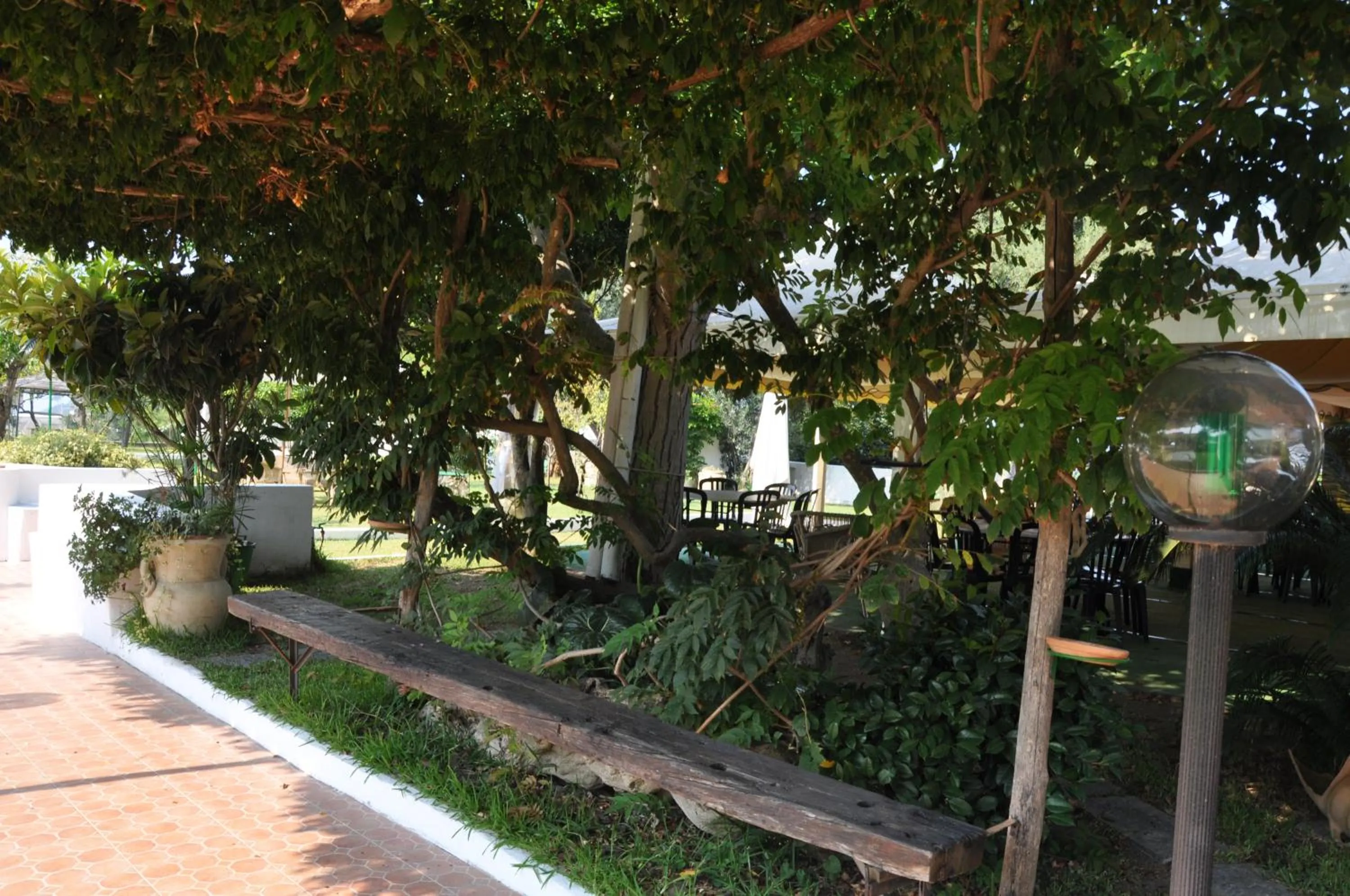 Garden in Hotel Savoia