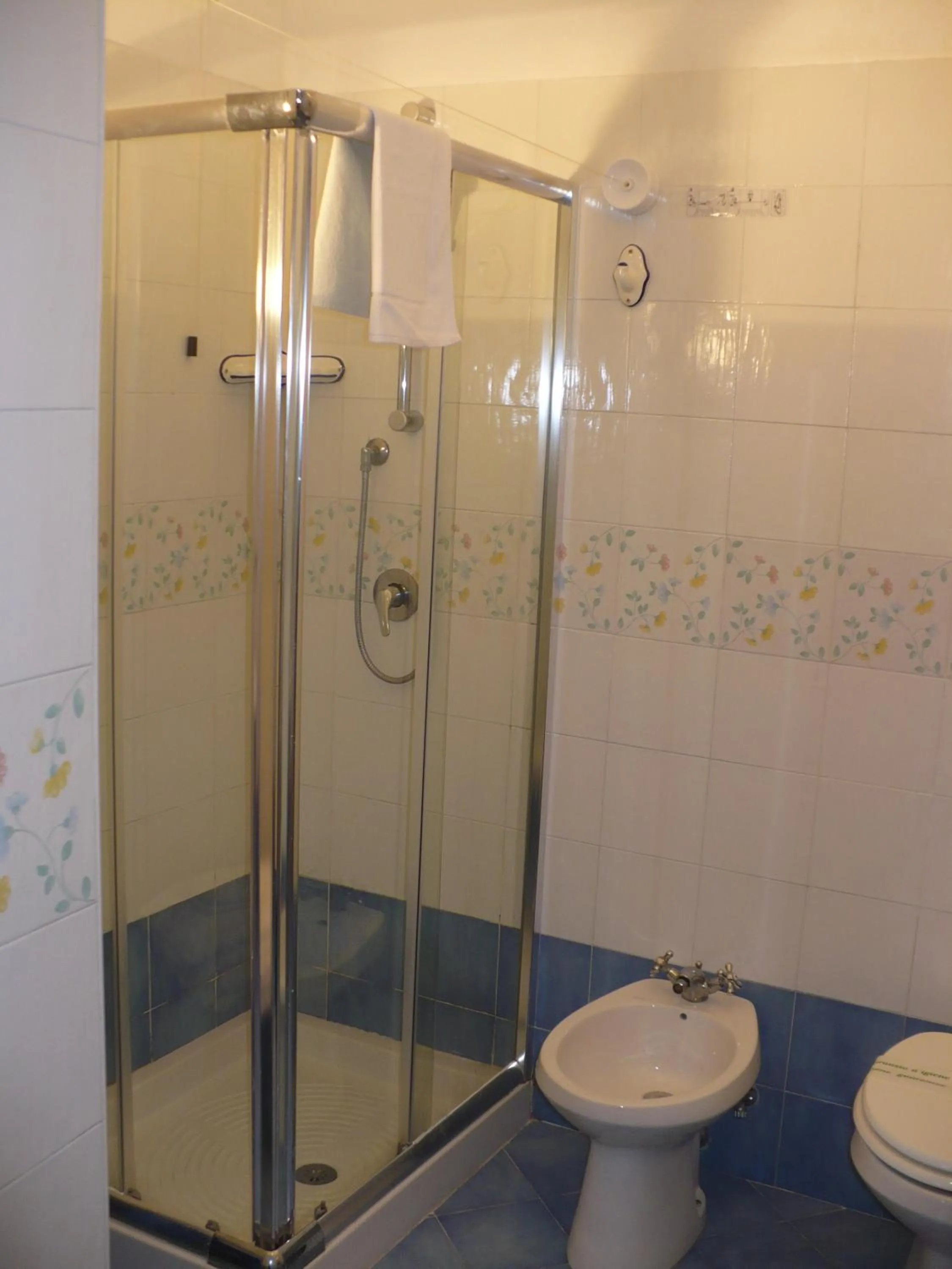 Toilet in Hotel Savoia