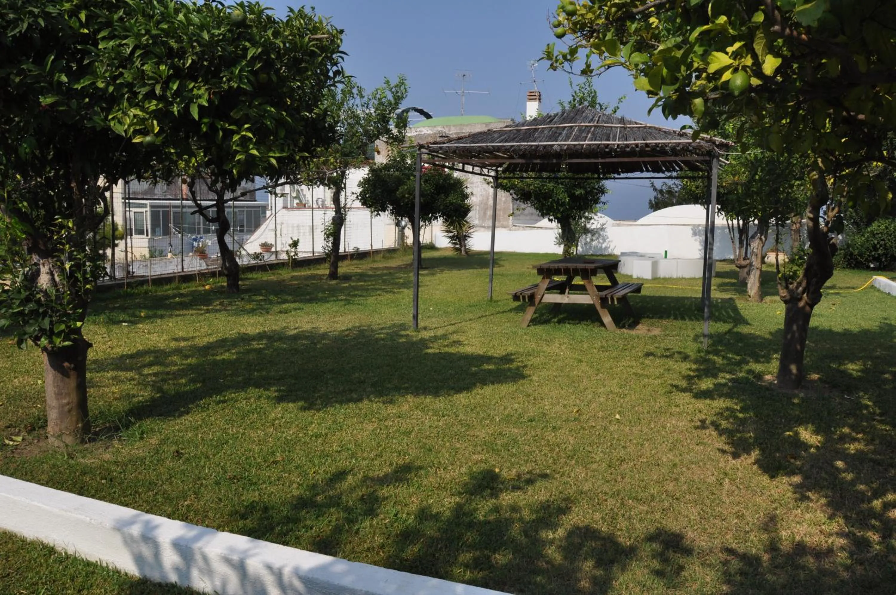 Garden in Hotel Savoia