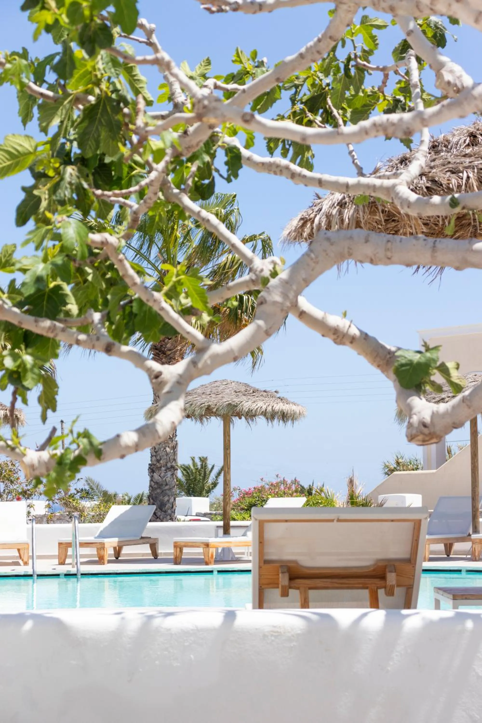 Swimming pool in Casa Vitae Suites